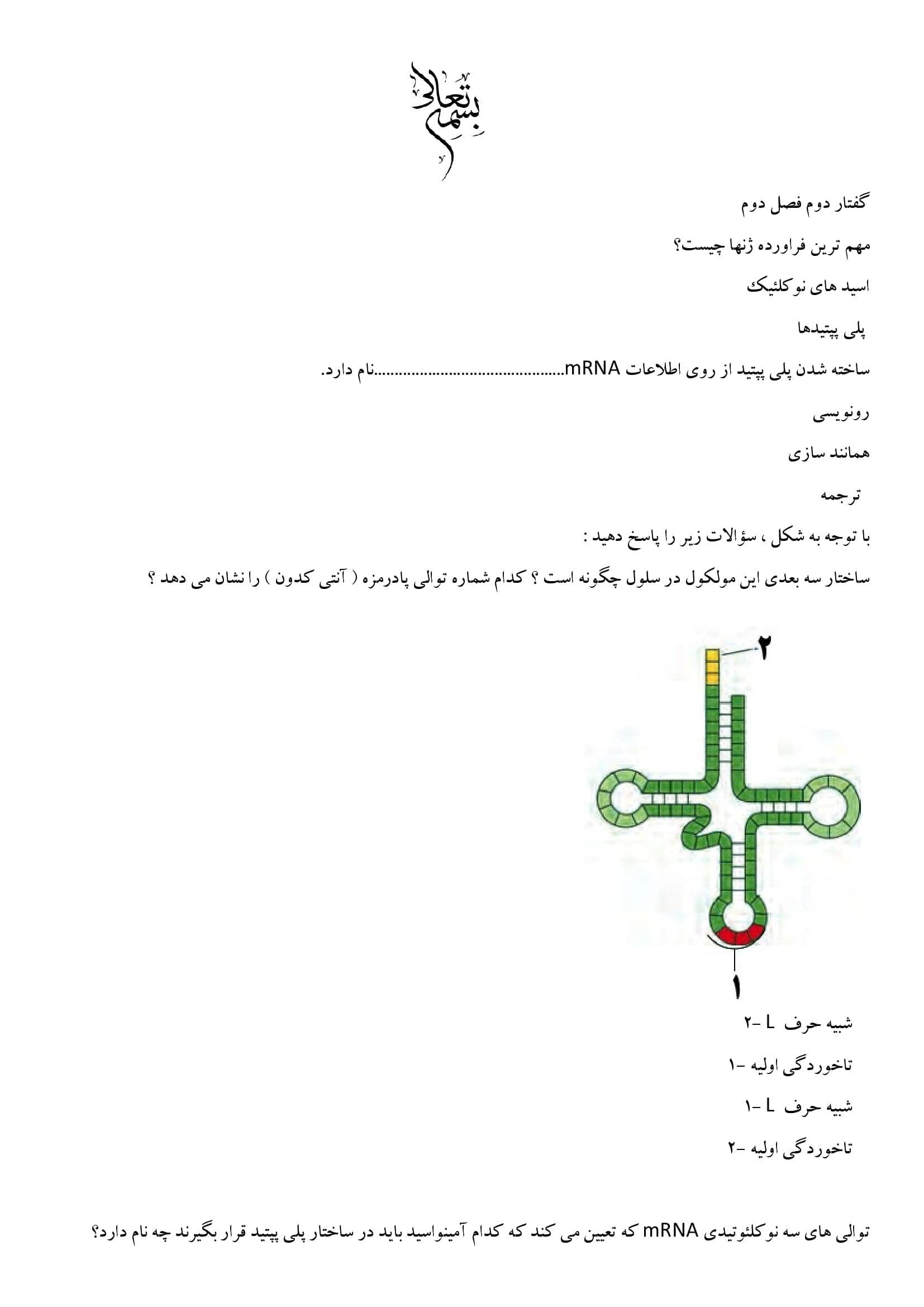 سری سوالات تمرینی فصل 2 گفتار 2 و 3 زیست شناسی دوازدهم | با جواب