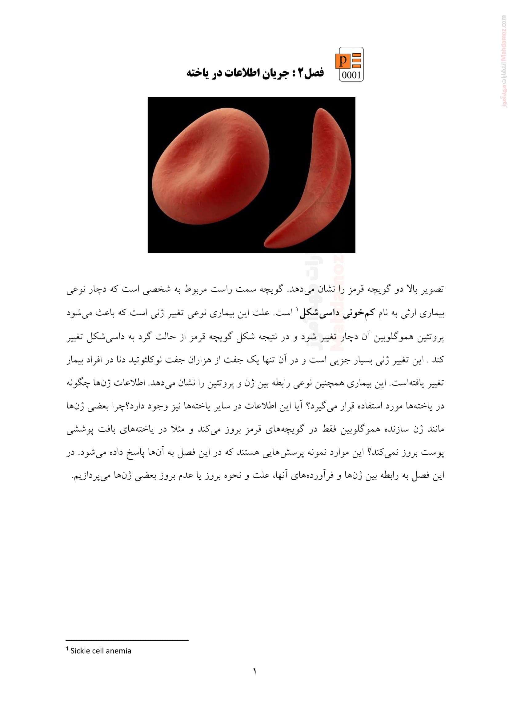 جزوه آموزشی فصل 2 زیست شناسی دوازدهم دبیرستان