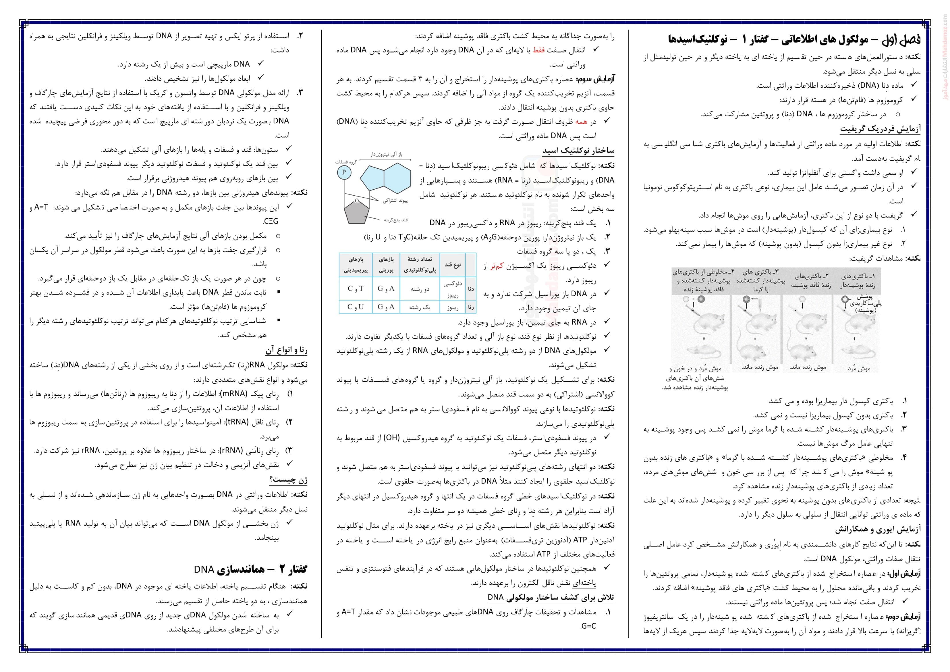 درسنامه فصل 1 تا 8 زیست شناسی ویژه دوازدهم متوسطه