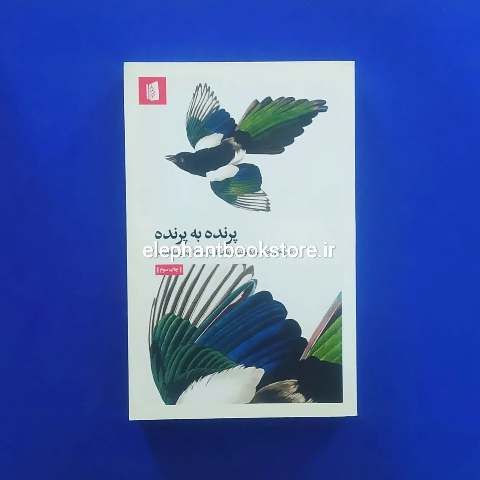 کتاب پرنده به پرنده (درس هایی چند درباره نوشتن و زندگی ) آن لاموت