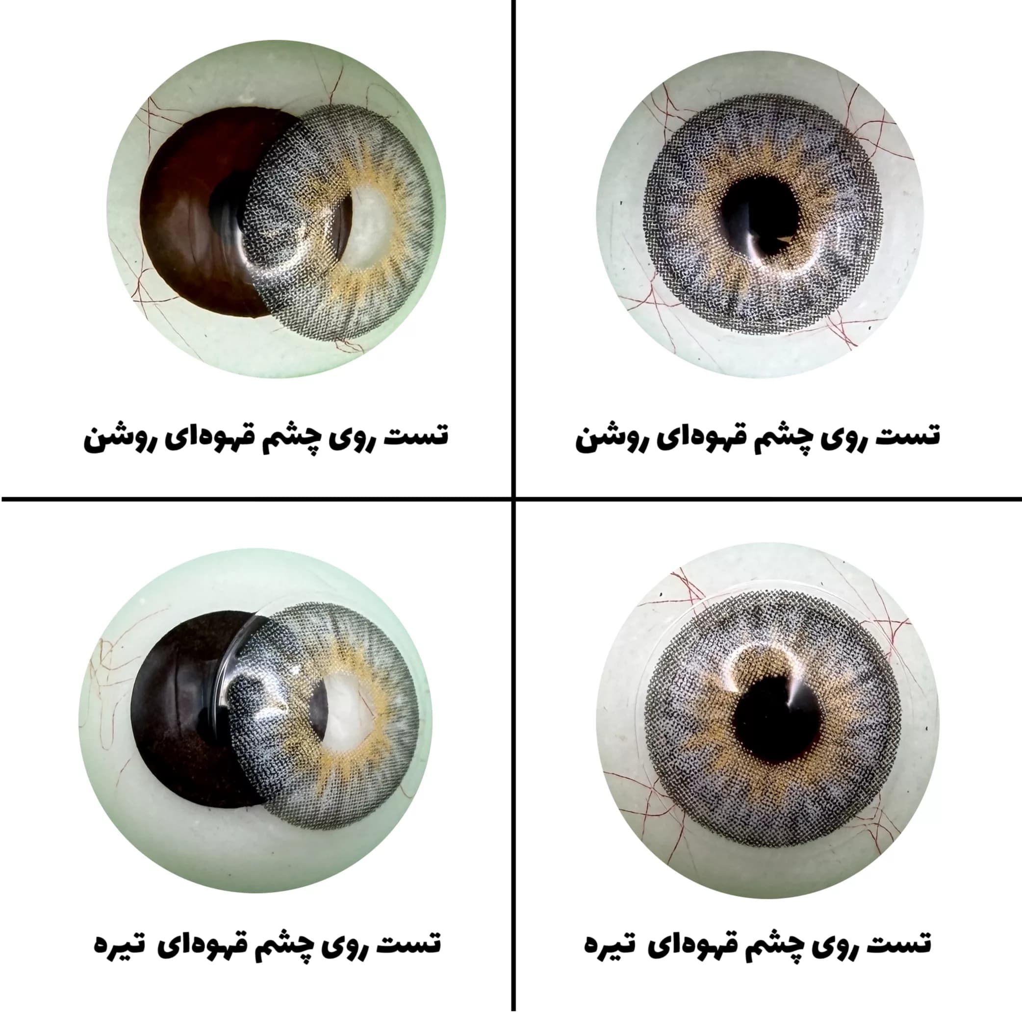 لنز چشم رویال ویژن مدل PLATINIUM کد 33 رنگ طوسی — تصویر ۵
