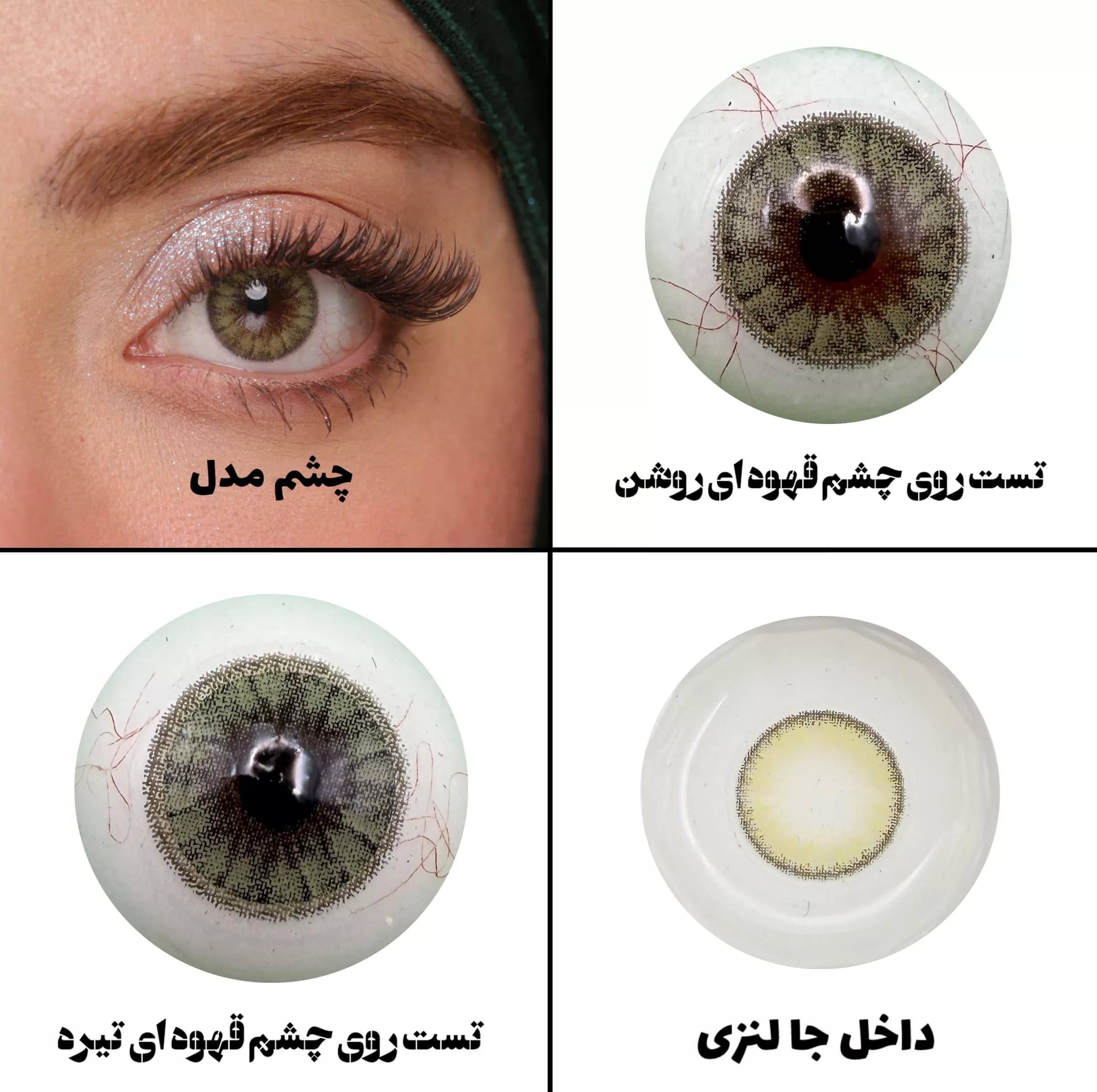 لنز چشم رویال ویژن مدل ِDESERT DREAM کد 20 رنگ سبز عسلی طبیعی دور دار — تصویر ۵