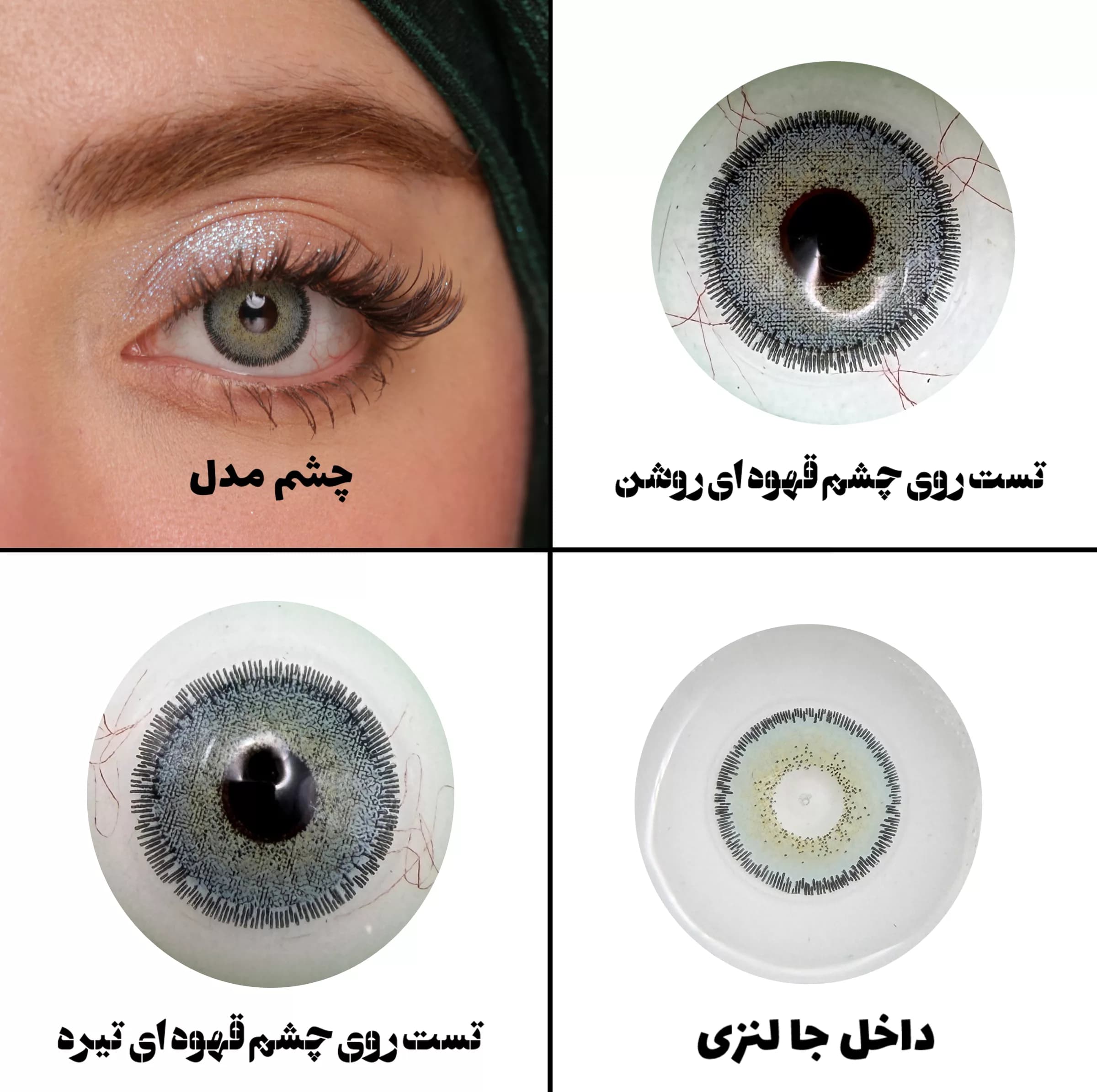 لنز چشم رویال ویژن مدل CAN BL کد 27 رنگ آبی طبیعی دور دار — تصویر ۶