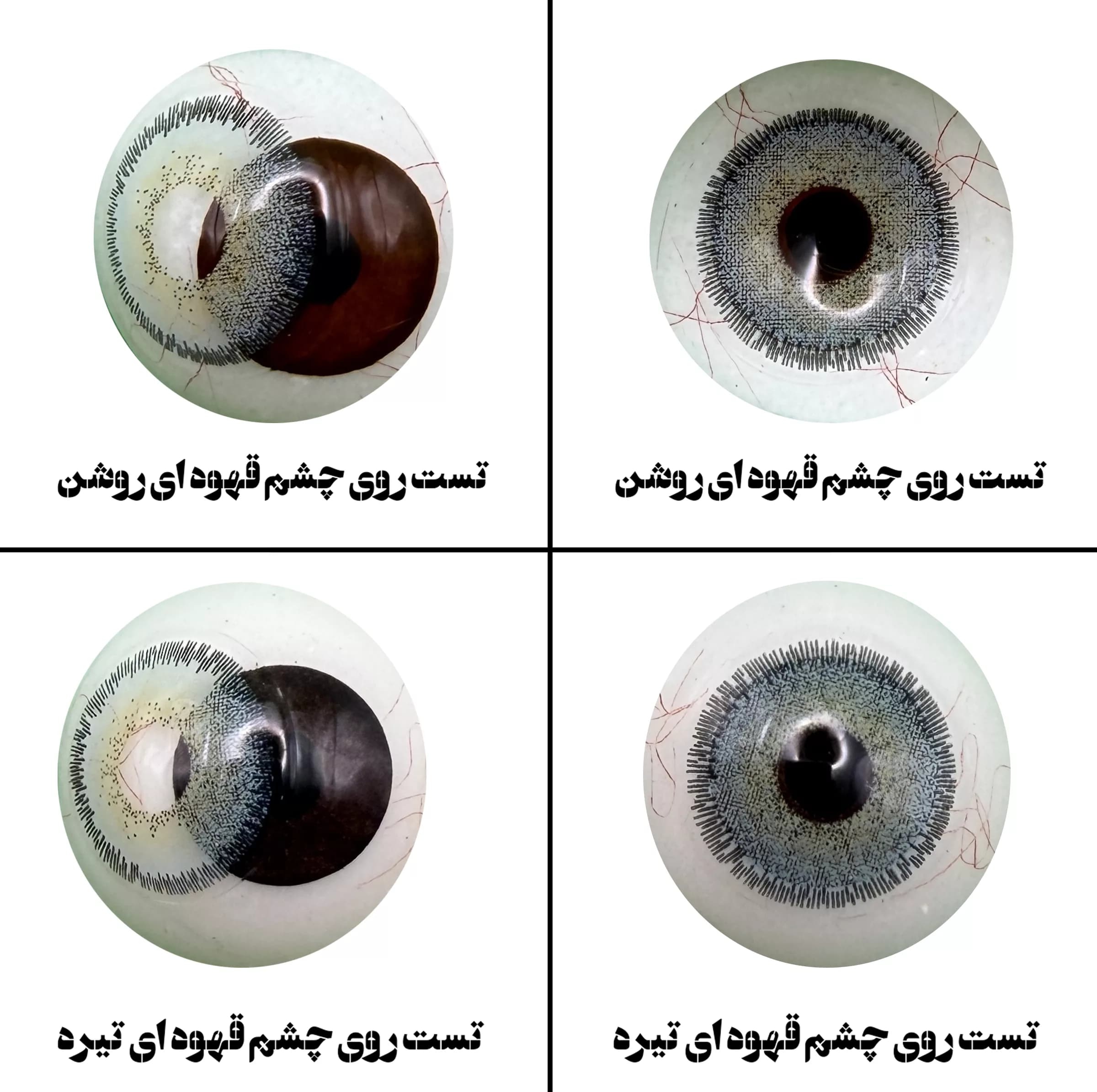 لنز چشم رویال ویژن مدل CAN BL کد 27 رنگ آبی طبیعی دور دار — تصویر ۵