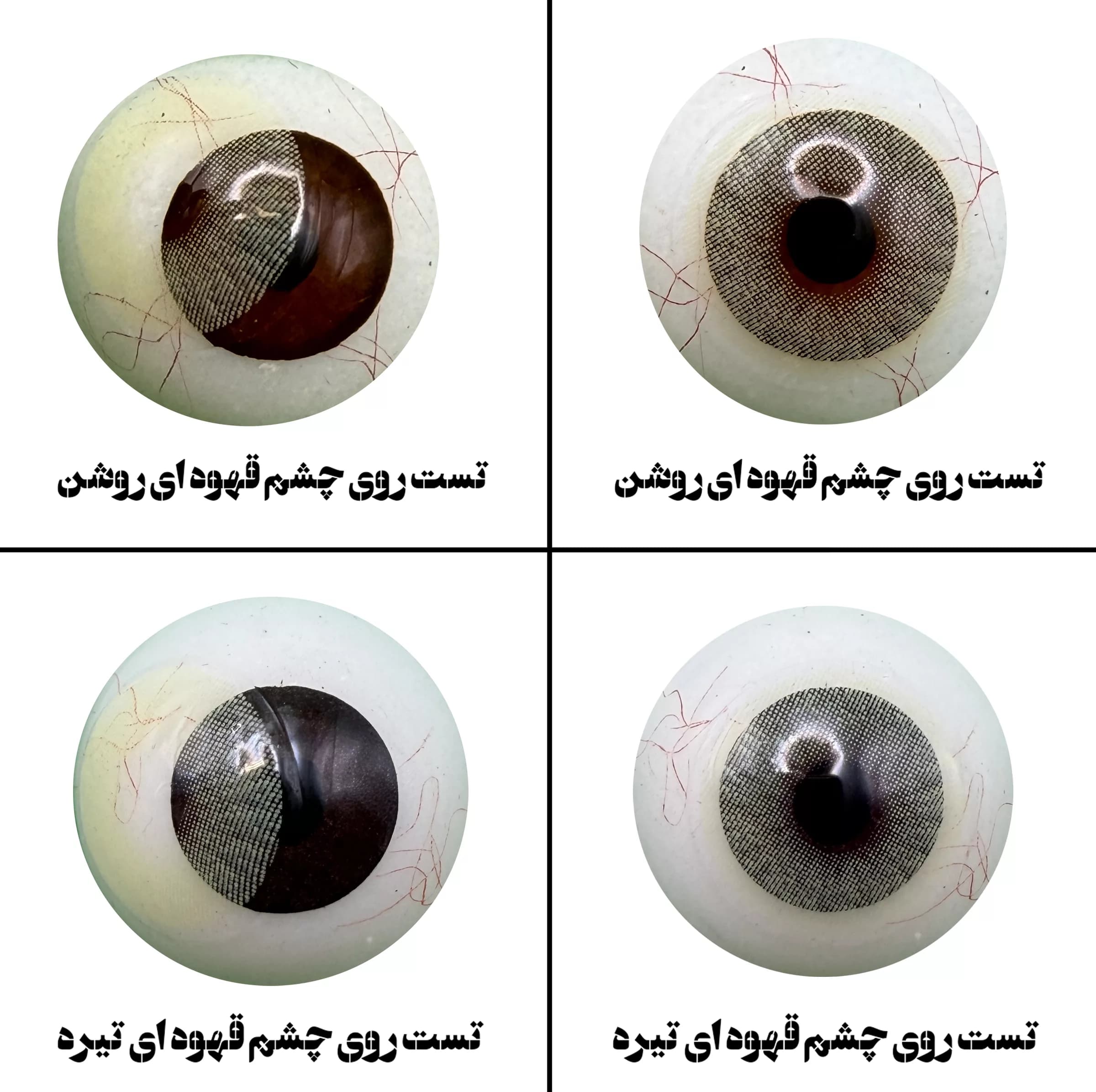 لنز چشم رویال ویژن مدل LEMONY کد 24 رنگ سبز لیمویی روشن بدون دور — تصویر ۳