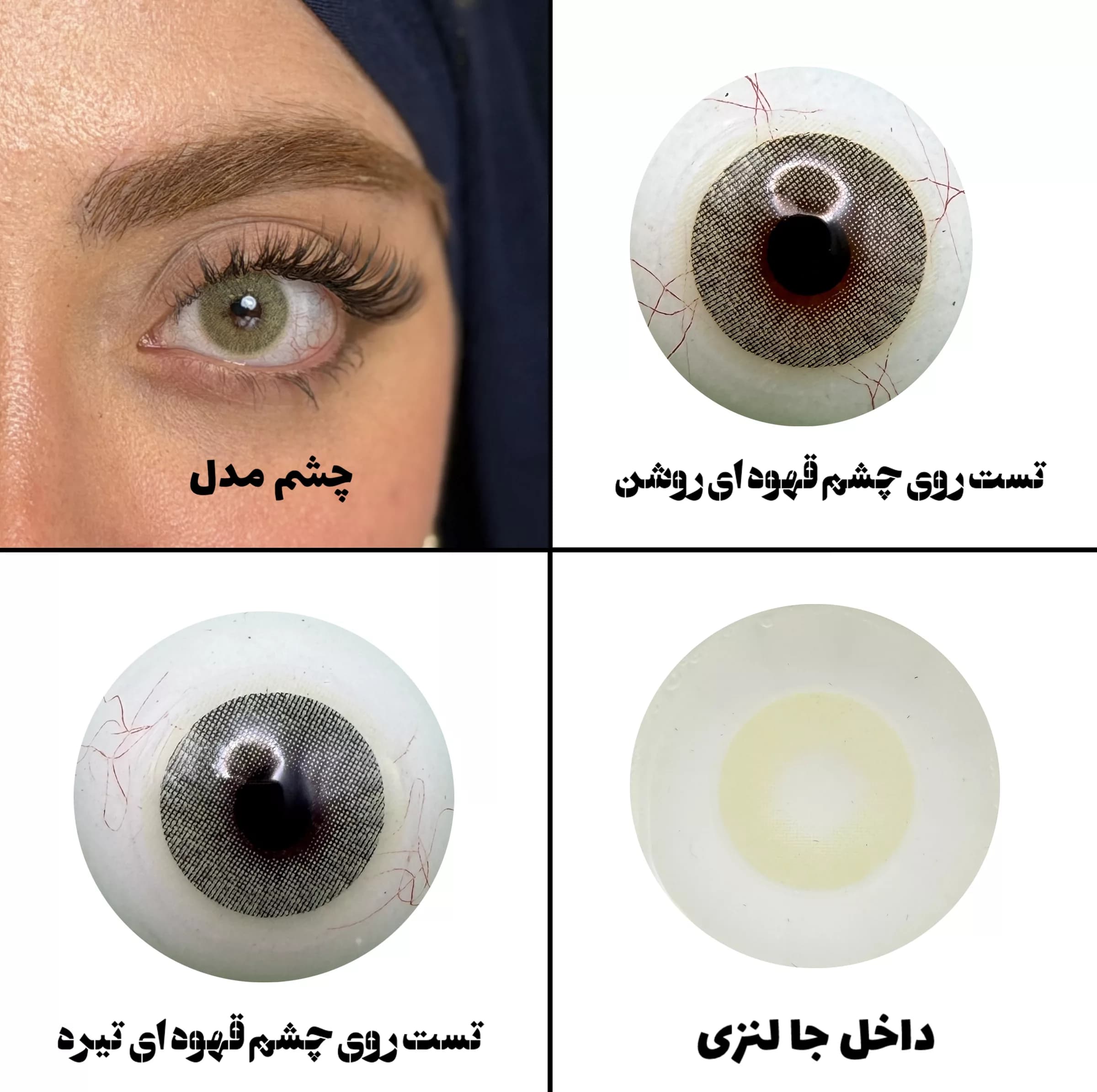 لنز چشم رویال ویژن مدل LEMONY کد 24 رنگ سبز لیمویی روشن بدون دور — تصویر ۲