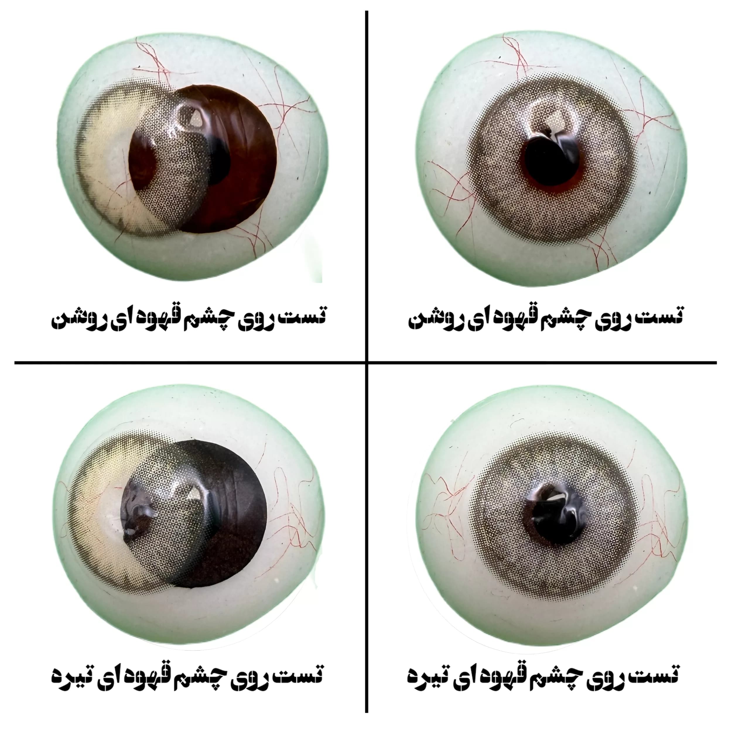 لنز چشم یونیک فصلی مدل ALAMANDA رنگ طوسی سبز دوردار — تصویر ۶