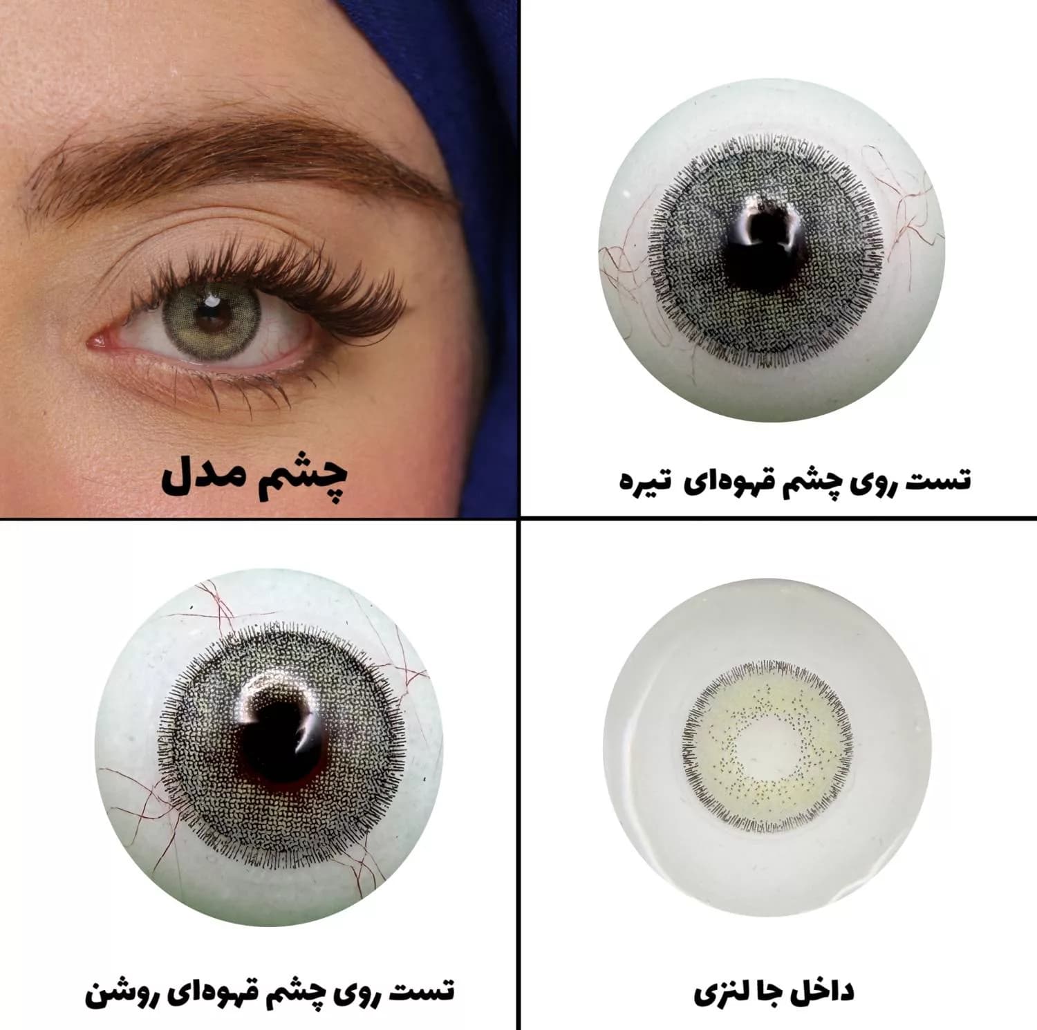 لنز چشم رویال ویژن مدل LEMON SHAPED کد 25 رنگ سبز لیمویی دور دار — تصویر ۵