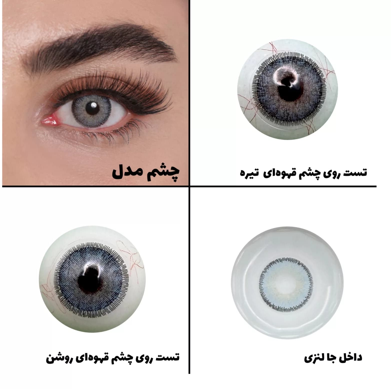 لنز چشم رویال ویژن مدل DREAM کد 28 رنگ آبی طبیعی دوردار — تصویر ۶