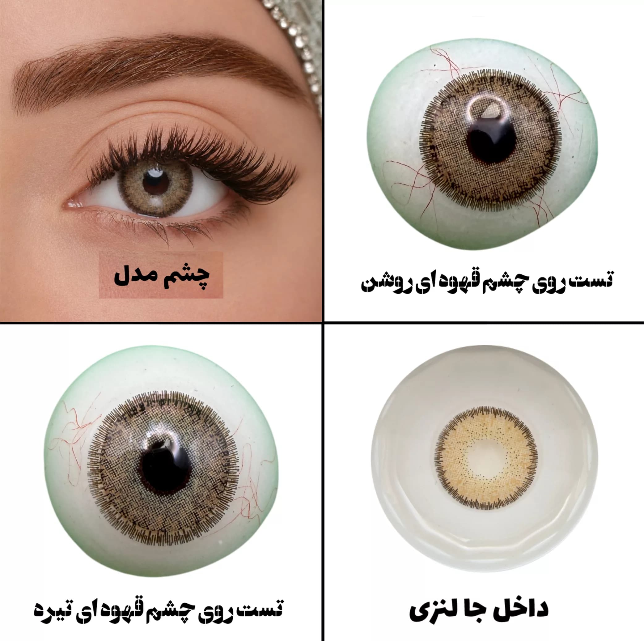 لنز چشم بیوتی مدل 19 کد RZA320 رنگ عسلی دوردار — تصویر ۵