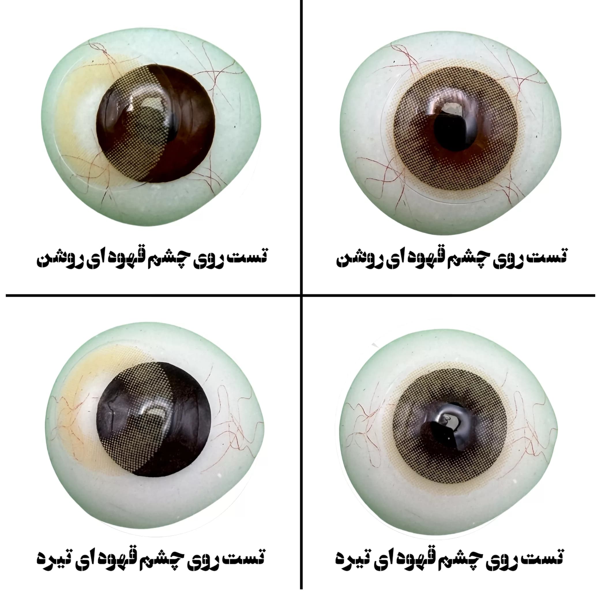 لنز چشم هرا گریس تمیم کانتکت لنز مدل DESIRE کد 38 رنگ عسلی روشن بدون دور — تصویر ۴