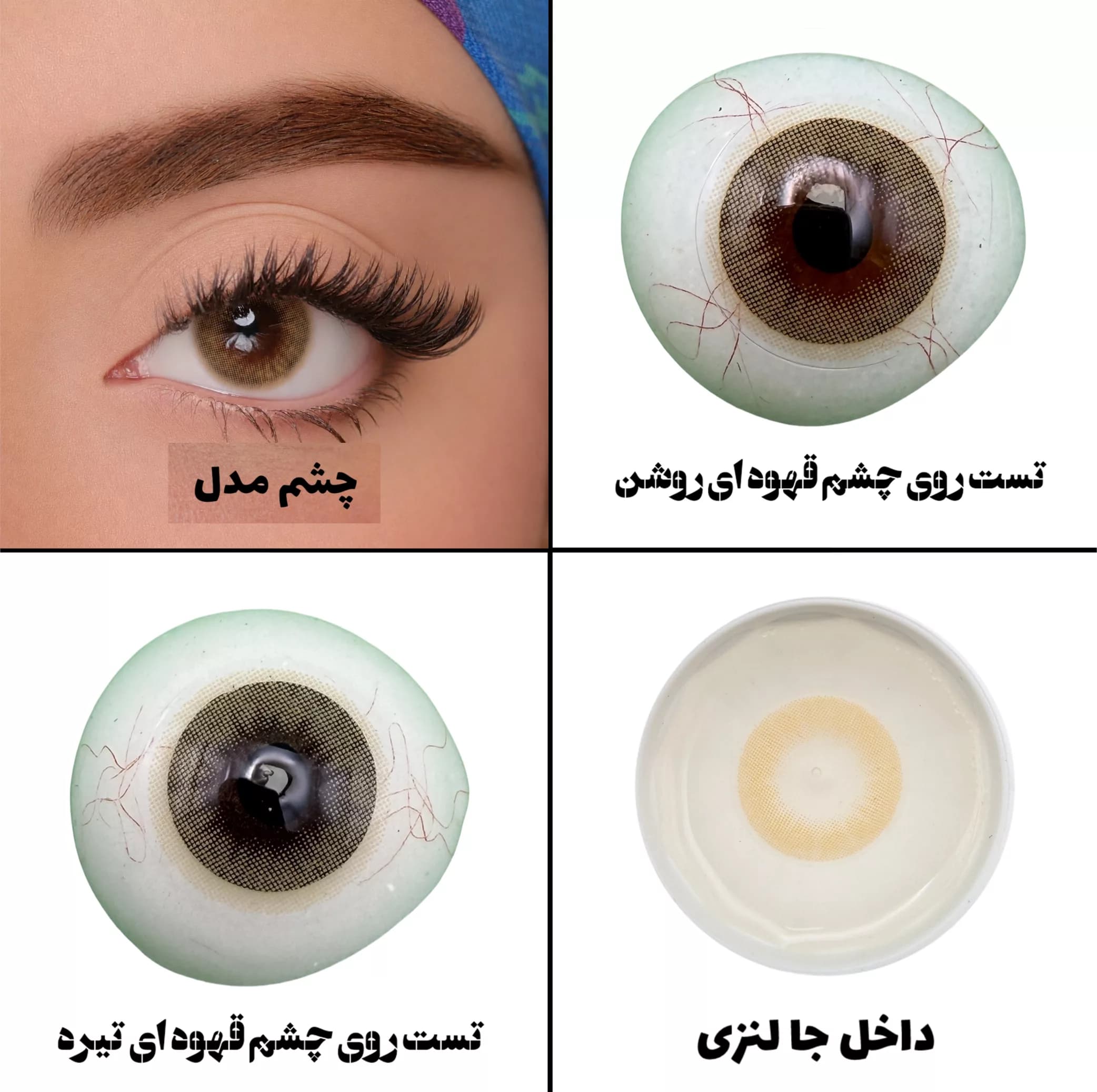 لنز چشم هرا گریس تمیم کانتکت لنز مدل DESIRE کد 38 رنگ عسلی روشن بدون دور — تصویر ۶