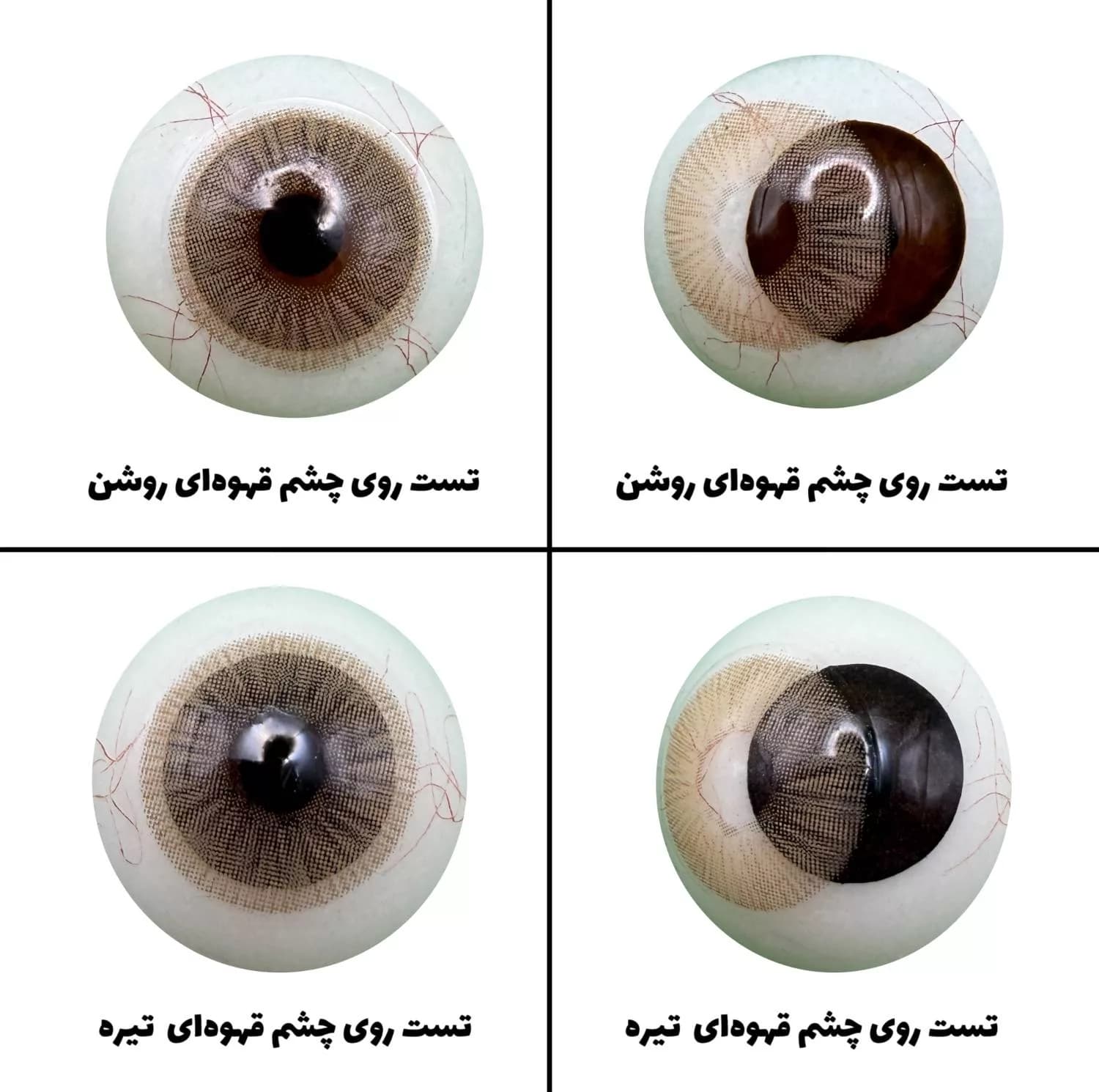 لنز چشم رویال ویژن مدل CHANEL BROWN کد 34 رنگ قهوه ای رگه دار بدون دور — تصویر ۵