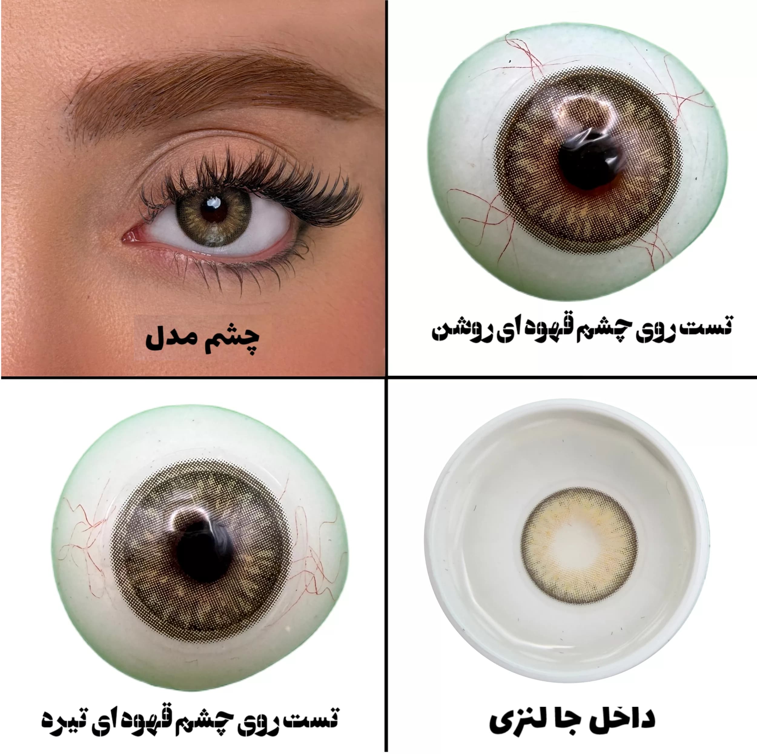 لنز چشم میس لنز مدل CARAMEL SPARK رنگ عسلی کاراملی با ته مایه سبز دوردار — تصویر ۳
