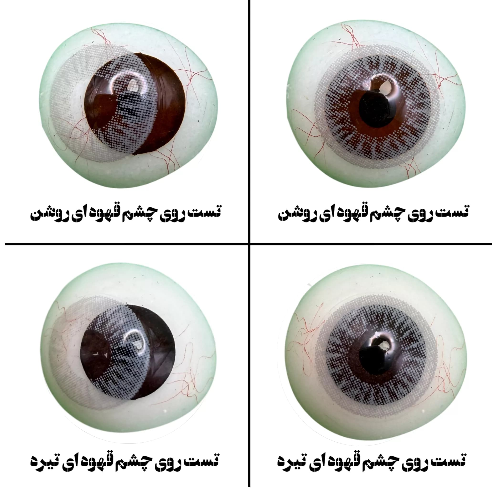 لنز چشم هرا گریس تمیم کانتکت لنز مدل DIAMOND GR کد 01 رنگ طوسی دور دار — تصویر ۴