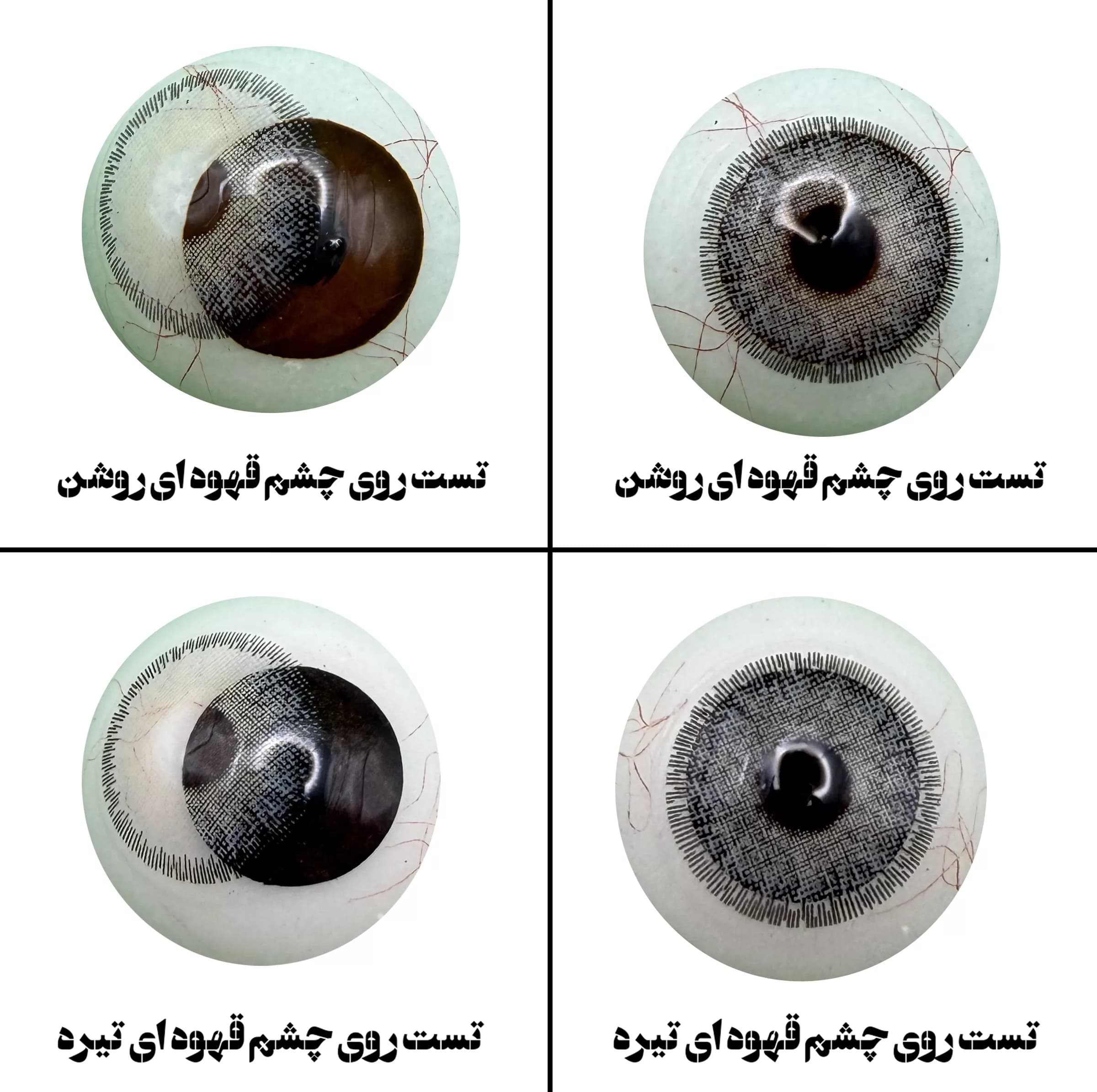 لنز چشم رویال ویژن مدل DREAM GR کد 02 رنگ طوسی طبیعی دوردار — تصویر ۴