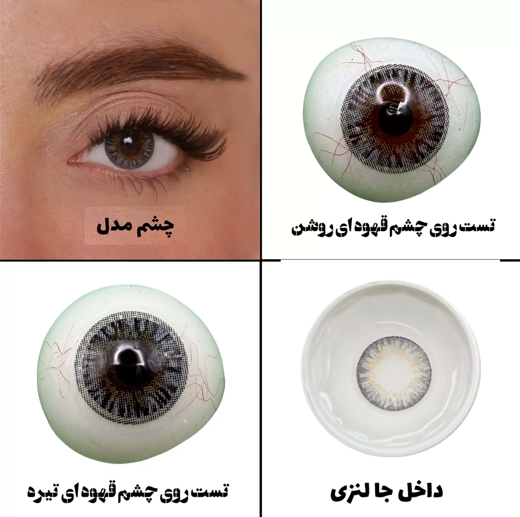 لنز چشم هرا گریس تمیم کانتکت لنز مدل STERLING کد 11 رنگ طوسی عسلی دوردار — تصویر ۵