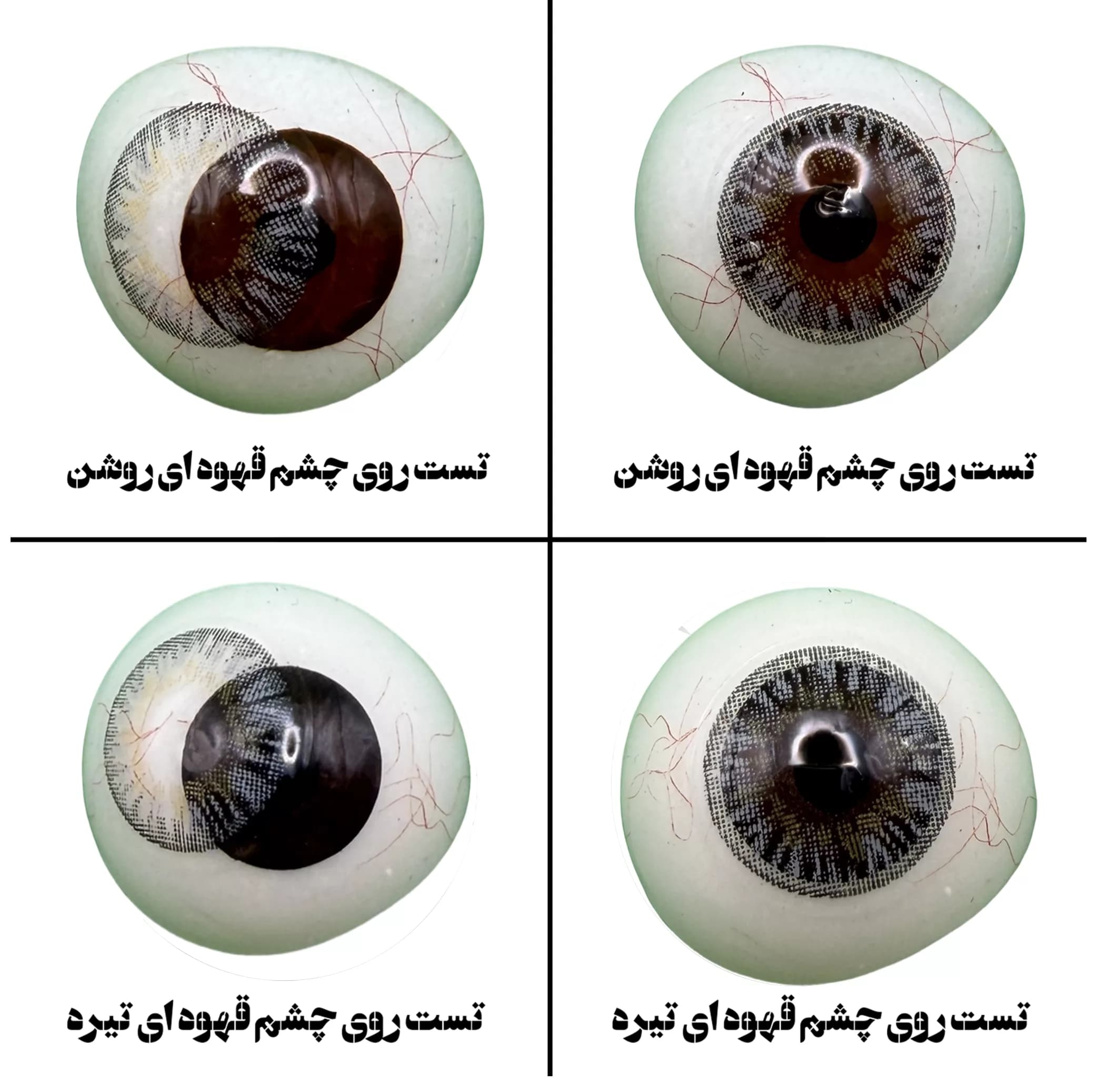 لنز چشم هرا گریس تمیم کانتکت لنز مدل STERLING کد 11 رنگ طوسی عسلی دوردار — تصویر ۴