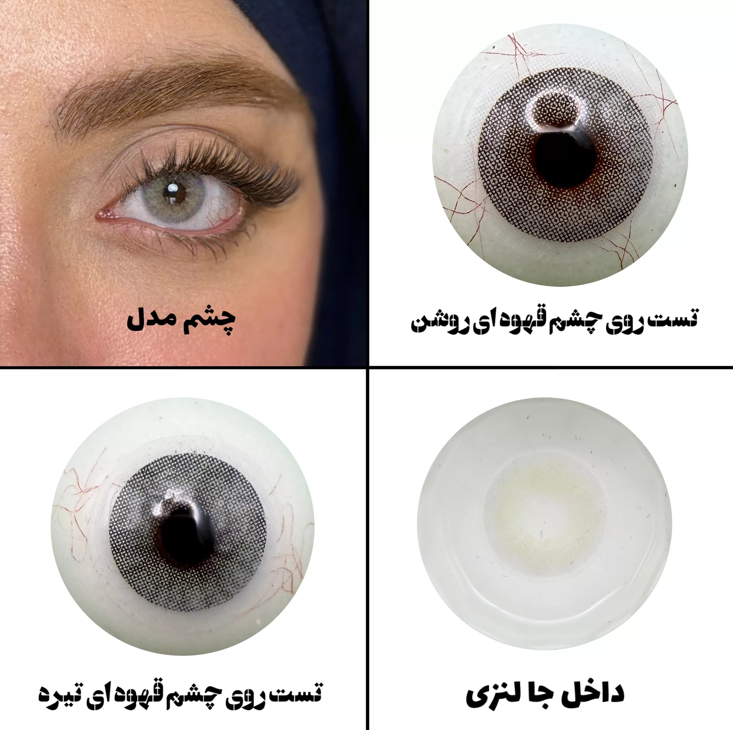 لنز چشم رویال ویژن مدل QUARTZO کد 08 رنگ طوسی سبز روشن بدون دور — تصویر ۵