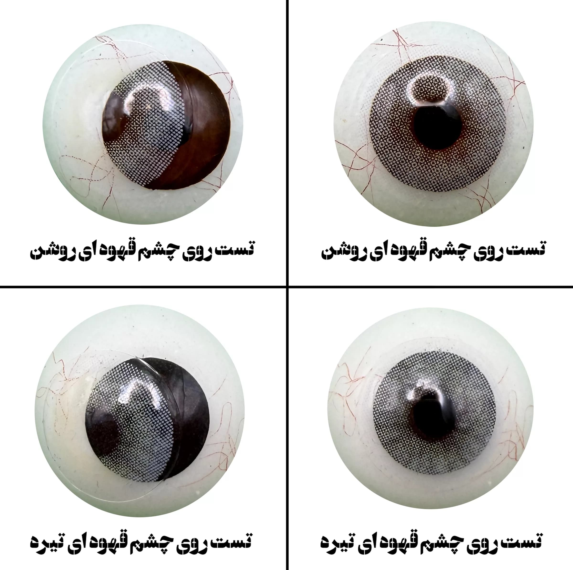 لنز چشم رویال ویژن مدل QUARTZO کد 08 رنگ طوسی سبز روشن بدون دور — تصویر ۴