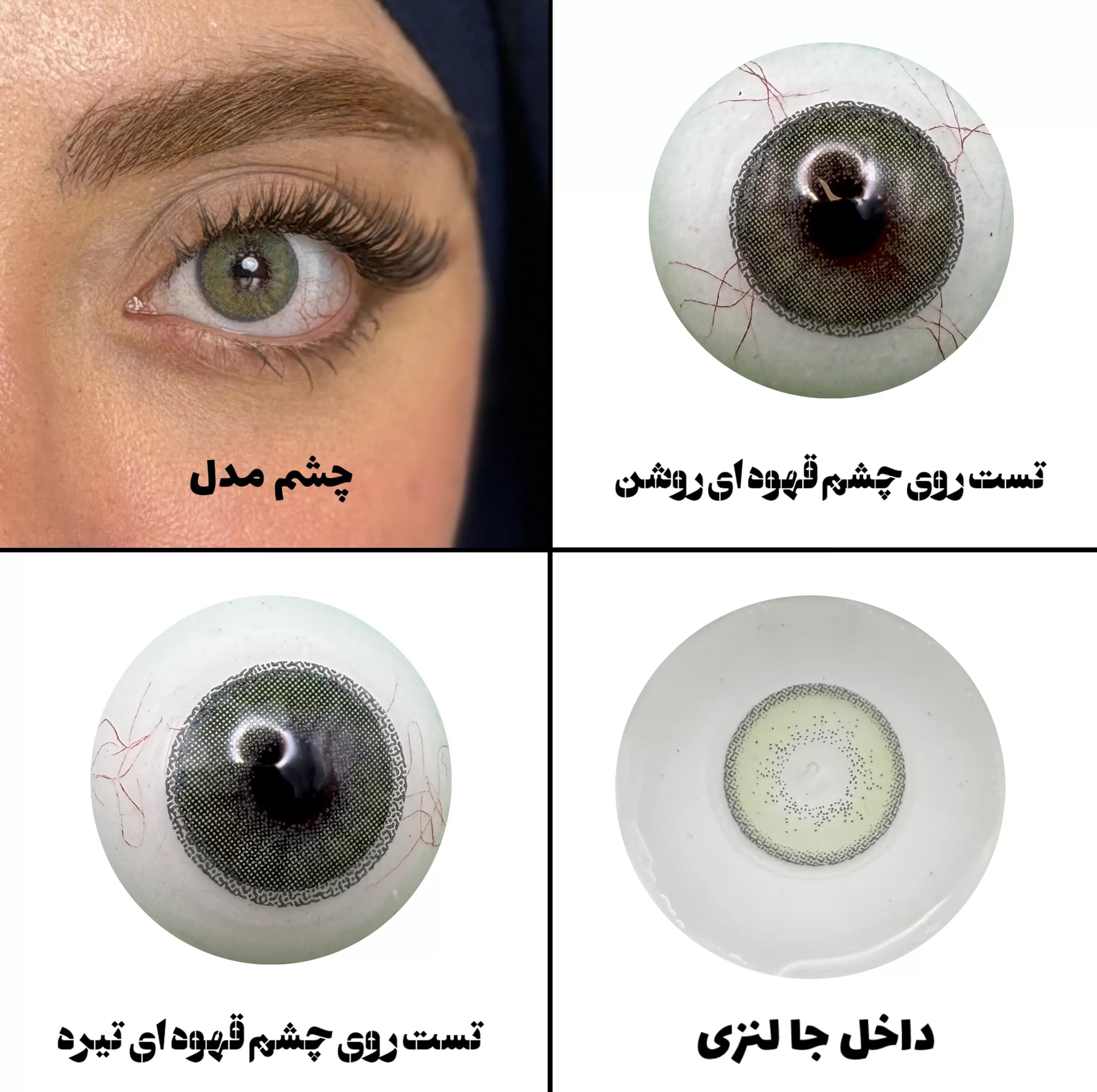 لنز چشم رویال ویژن مدل DAZZLING GR کد 38 رنگ سبز طبیعی دوردار — تصویر ۲