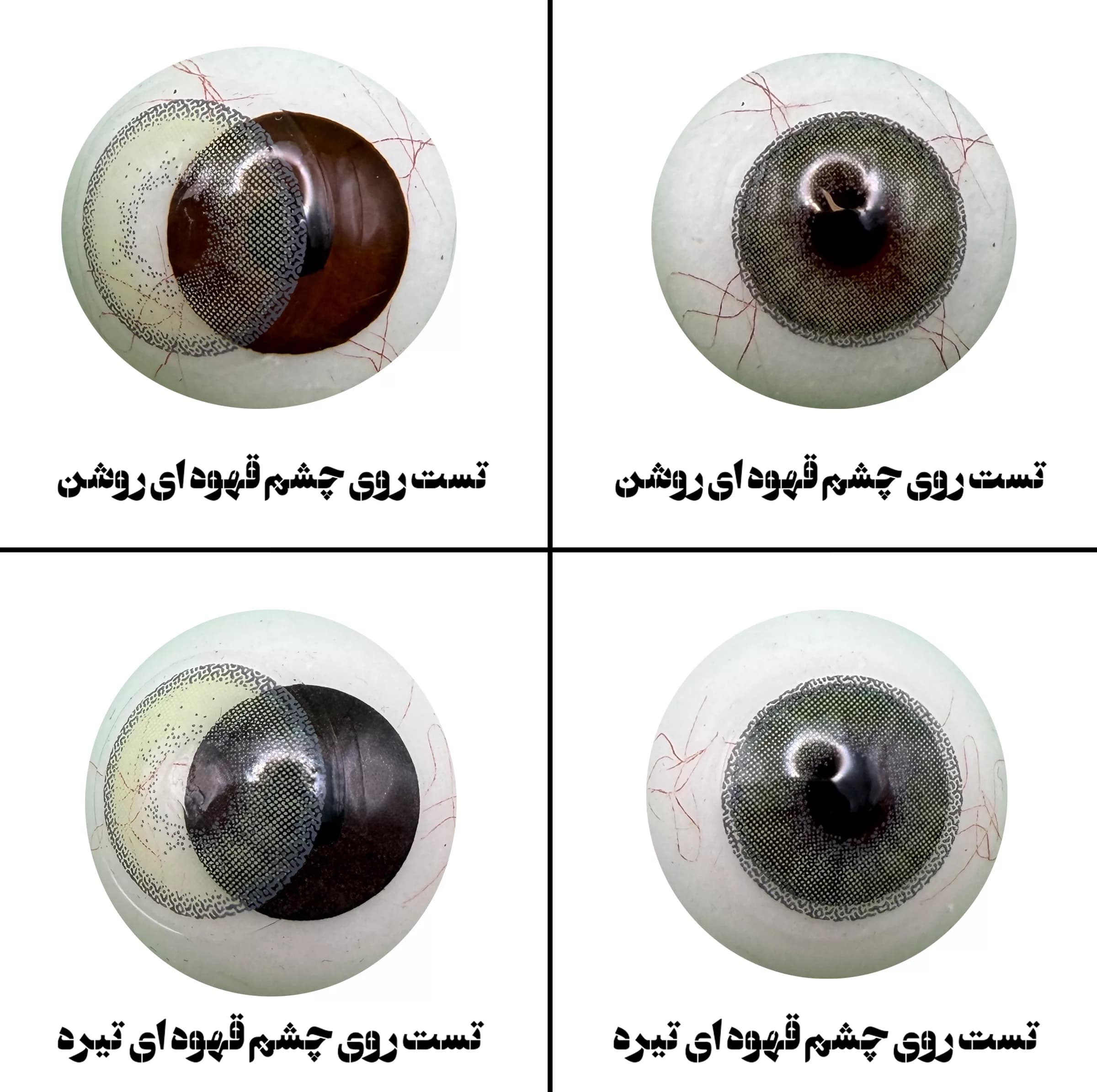 لنز چشم رویال ویژن مدل DAZZLING GR کد 38 رنگ سبز طبیعی دوردار — تصویر ۶