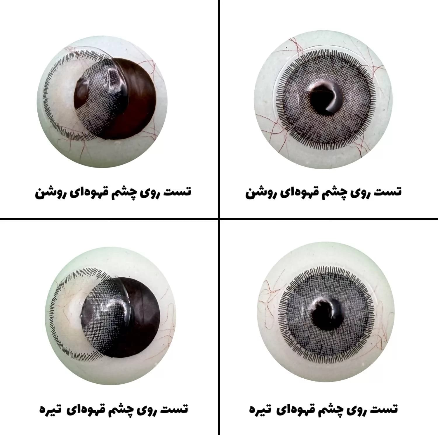 لنز چشم رویال ویژن مدل GRAYNESS کد 01 رنگ طوسی سبز طبیعی دور دار — تصویر ۴