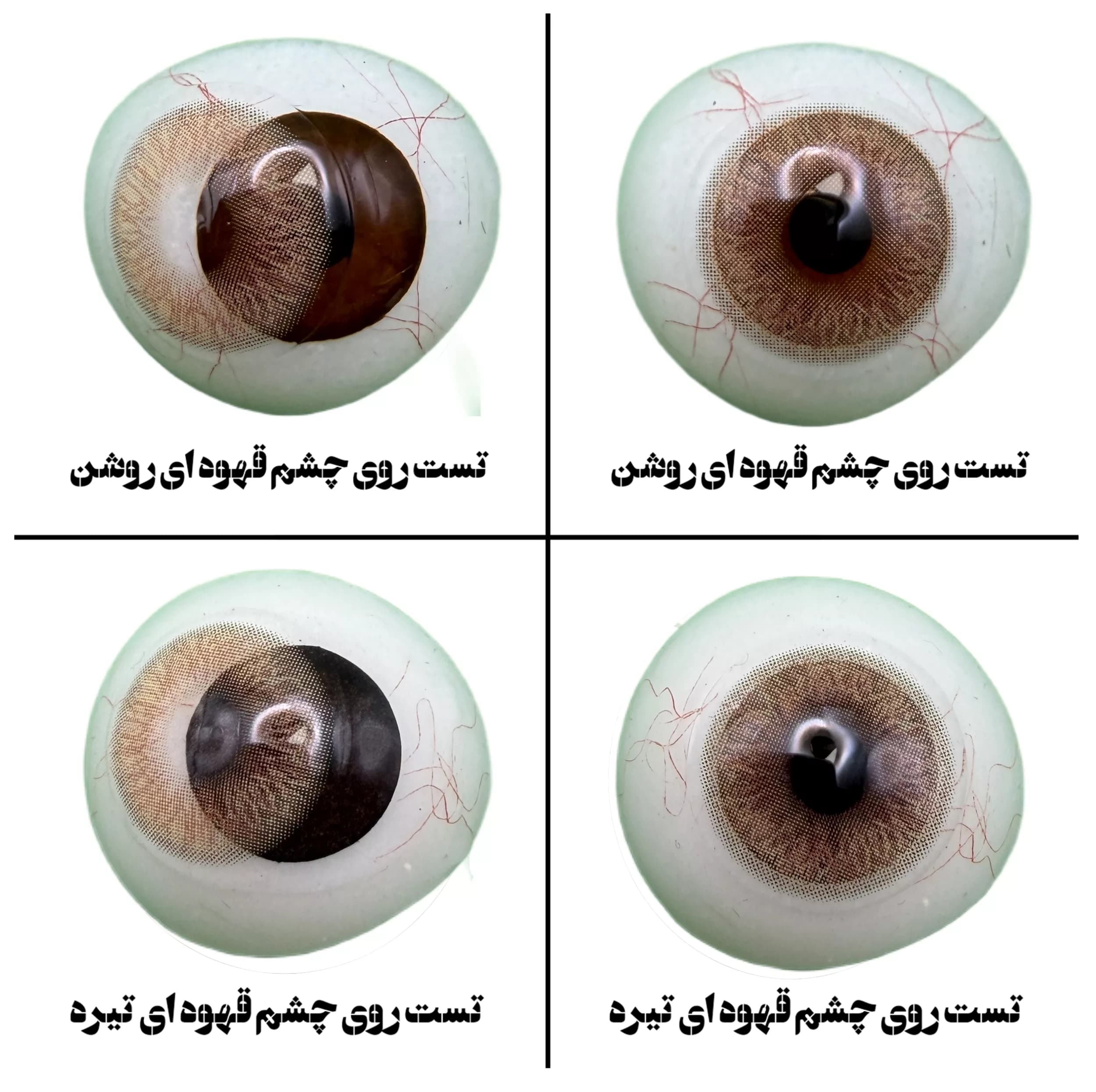 لنز چشم رز مدل LILY رنگ عسلی با دور محو — تصویر ۵