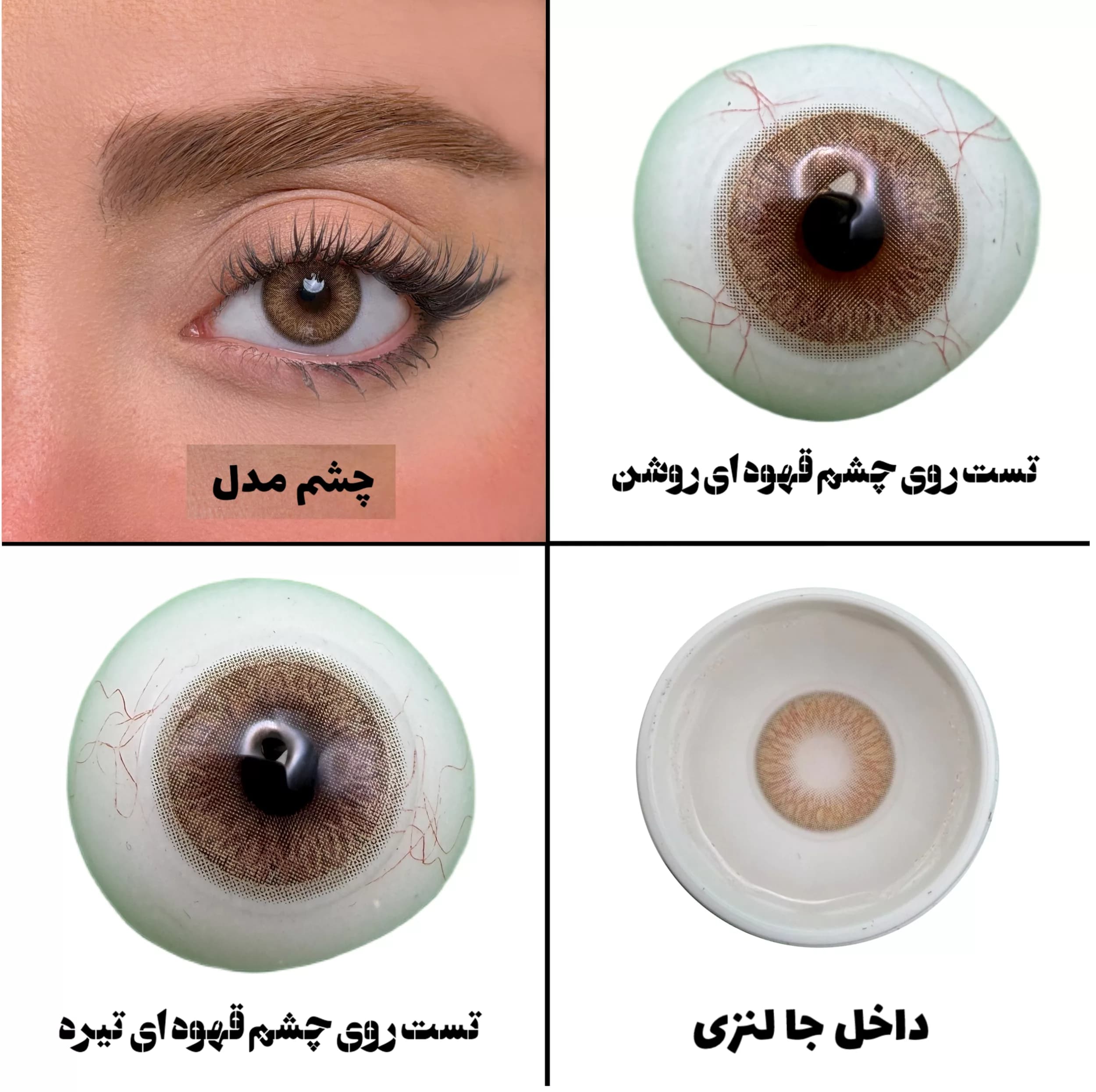 لنز چشم رز مدل LILY رنگ عسلی با دور محو — تصویر ۶