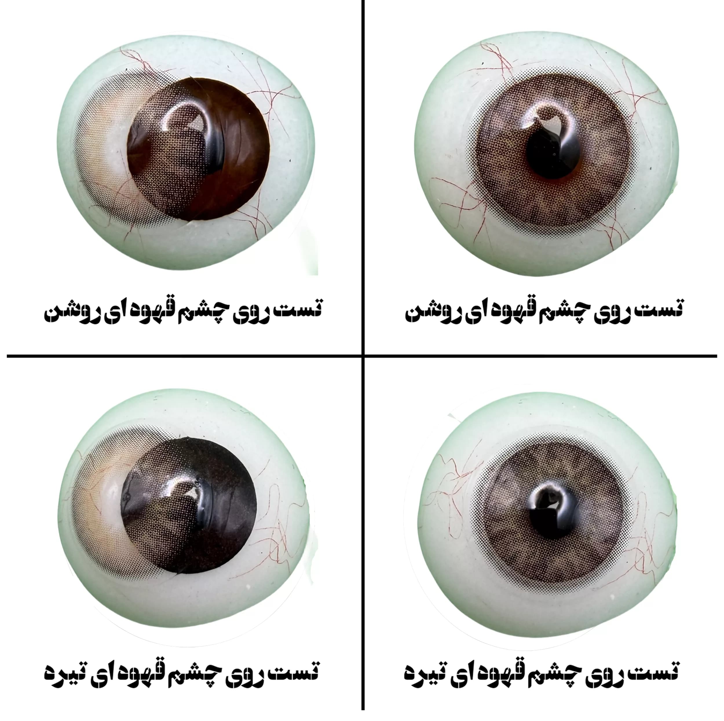 لنز چشم رز مدل ALIS رنگ قهوه ای عسلی رگه ای با دور ظریف — تصویر ۵
