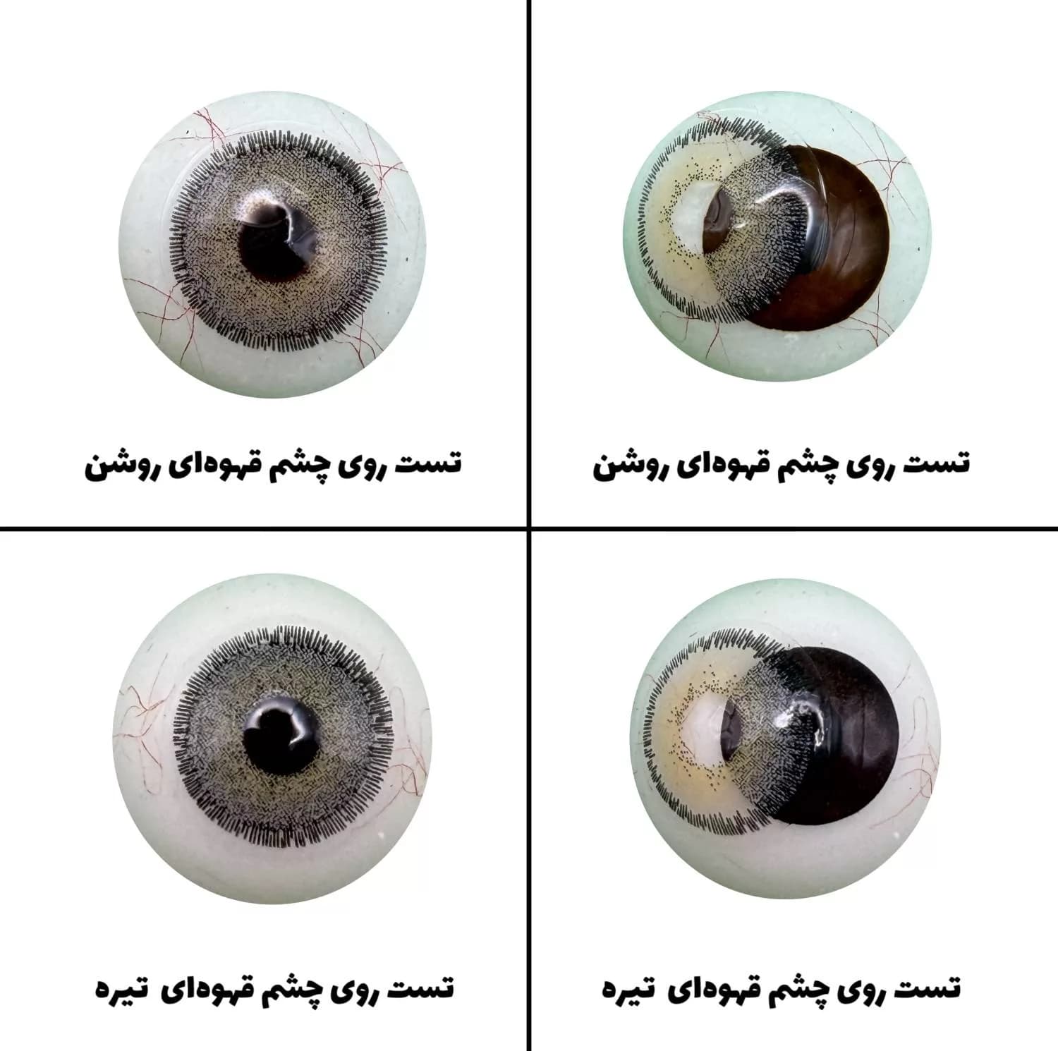 لنز چشم رویال ویژن مدل GRAFIT کد 13 رنگ طوسی سبز طبیعی دور دار — تصویر ۴