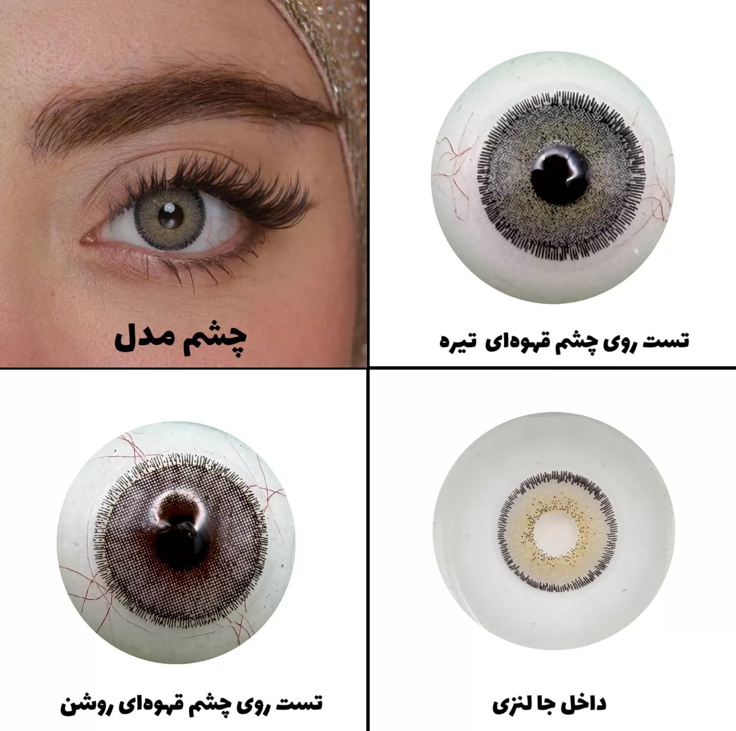 لنز چشم رویال ویژن مدل GRAFIT کد 13 رنگ طوسی سبز طبیعی دور دار — تصویر ۵