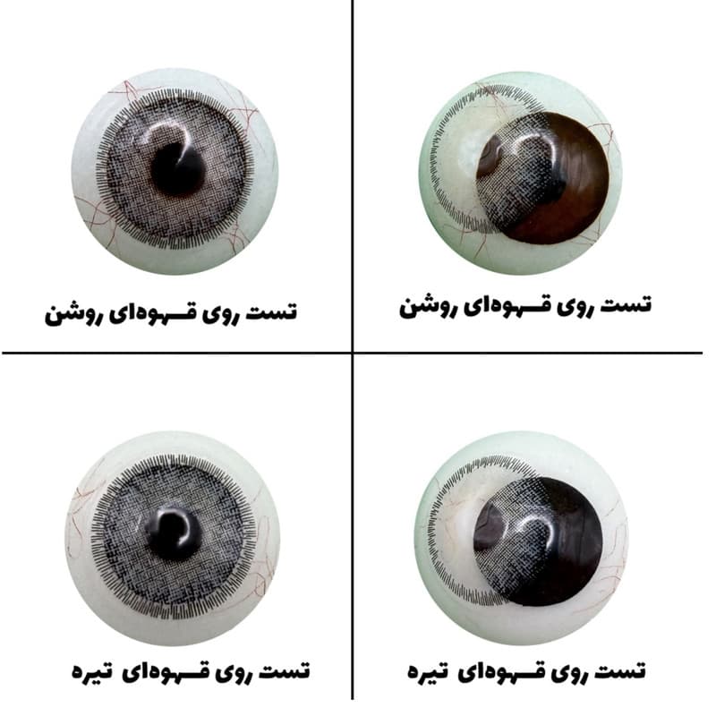 لنز چشم هرا مدل 13 سالانه کد ACCA311 رنگ سبز عسلی دوردار — تصویر ۹