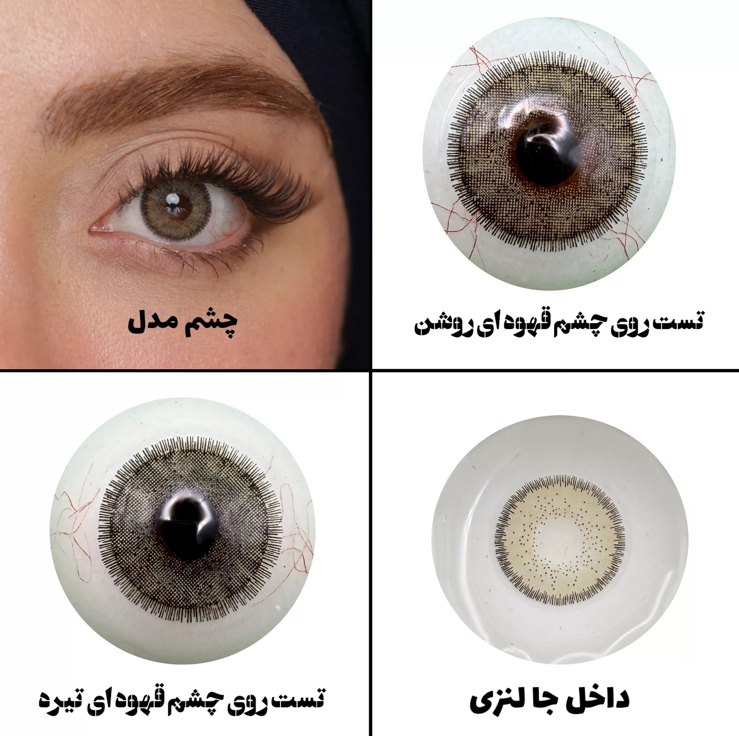 لنز چشم رویال ویژن مدل LA HAZEL کد 12 رنگ سبزعسلی طبیعی دوردار — تصویر ۲