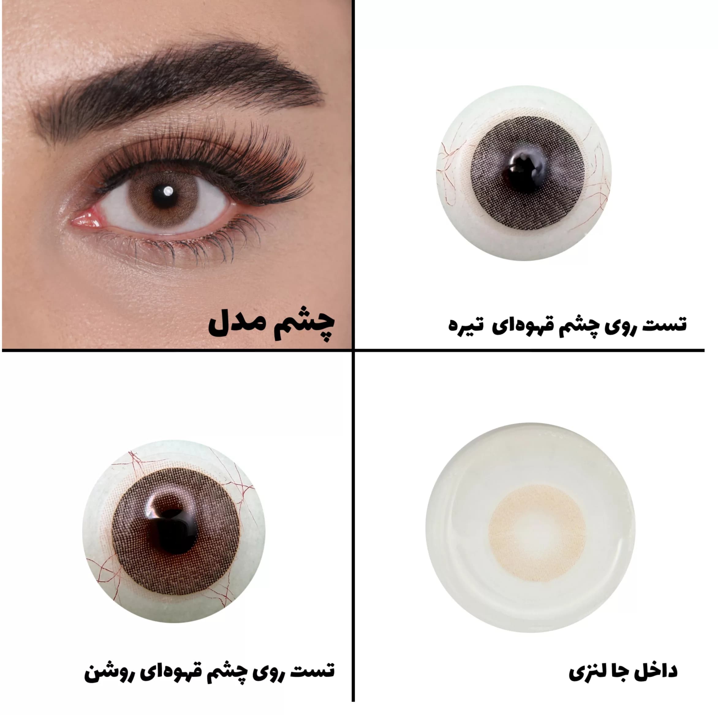 لنز چشم رویال ویژن مدل MOCHA کد 14 رنگ قهوه ای روشن بدون دور — تصویر ۶
