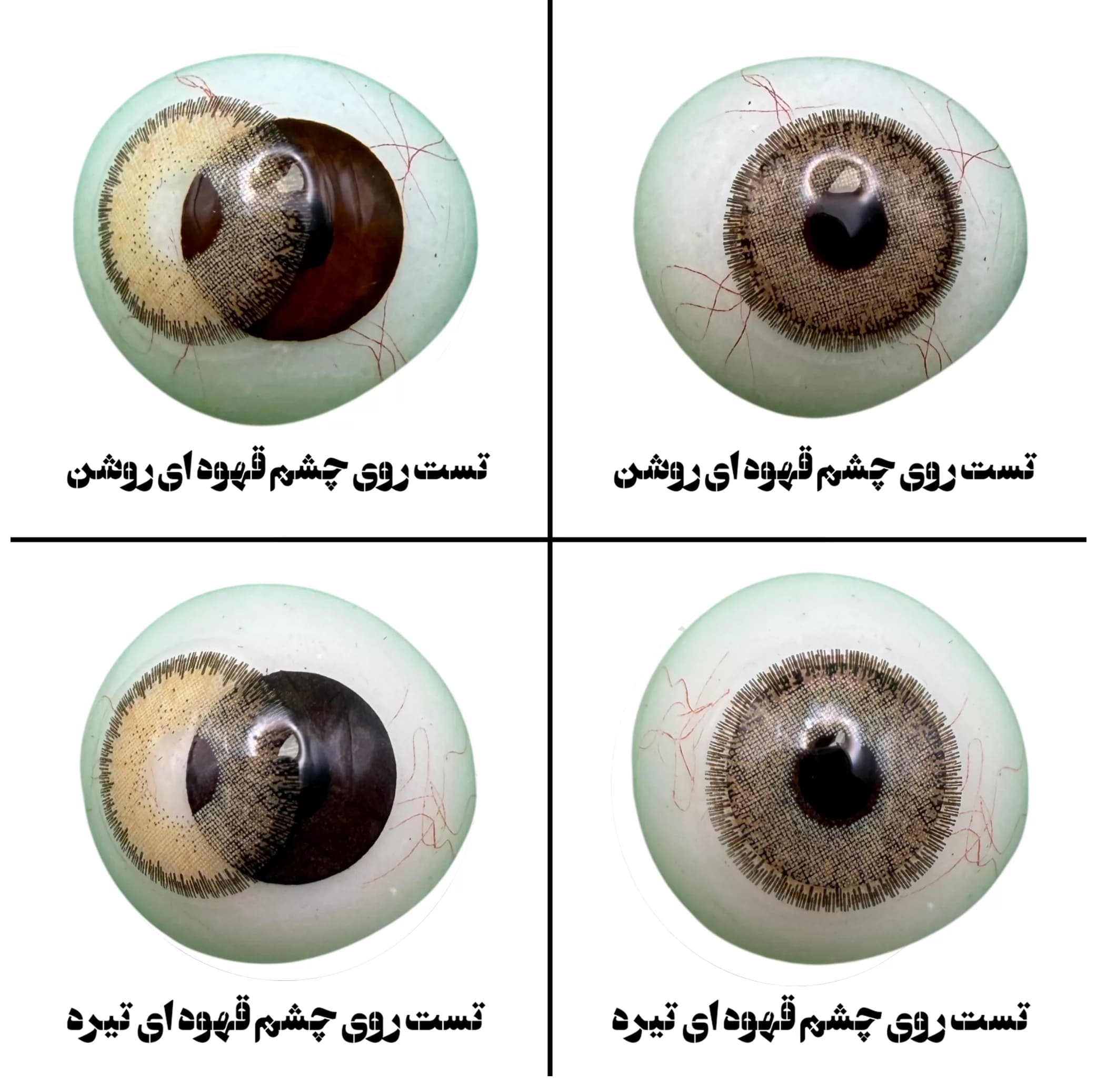 لنز چشم هرا گریس تمیم کانتکت لنز مدل DIVA HAZEL کد 17 رنگ عسلی دوردار — تصویر ۴