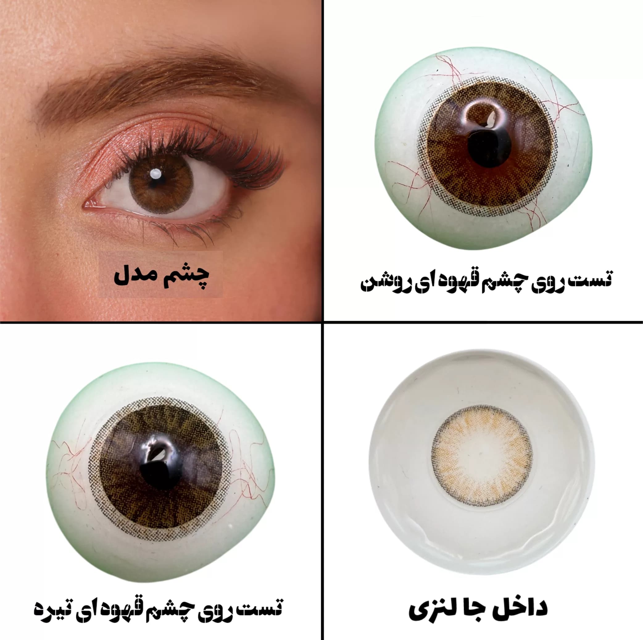 لنز چشم هرا گریس تمیم کانتکت لنز کد 15 رنگ قهوه ای طبیعی دوردار — تصویر ۶