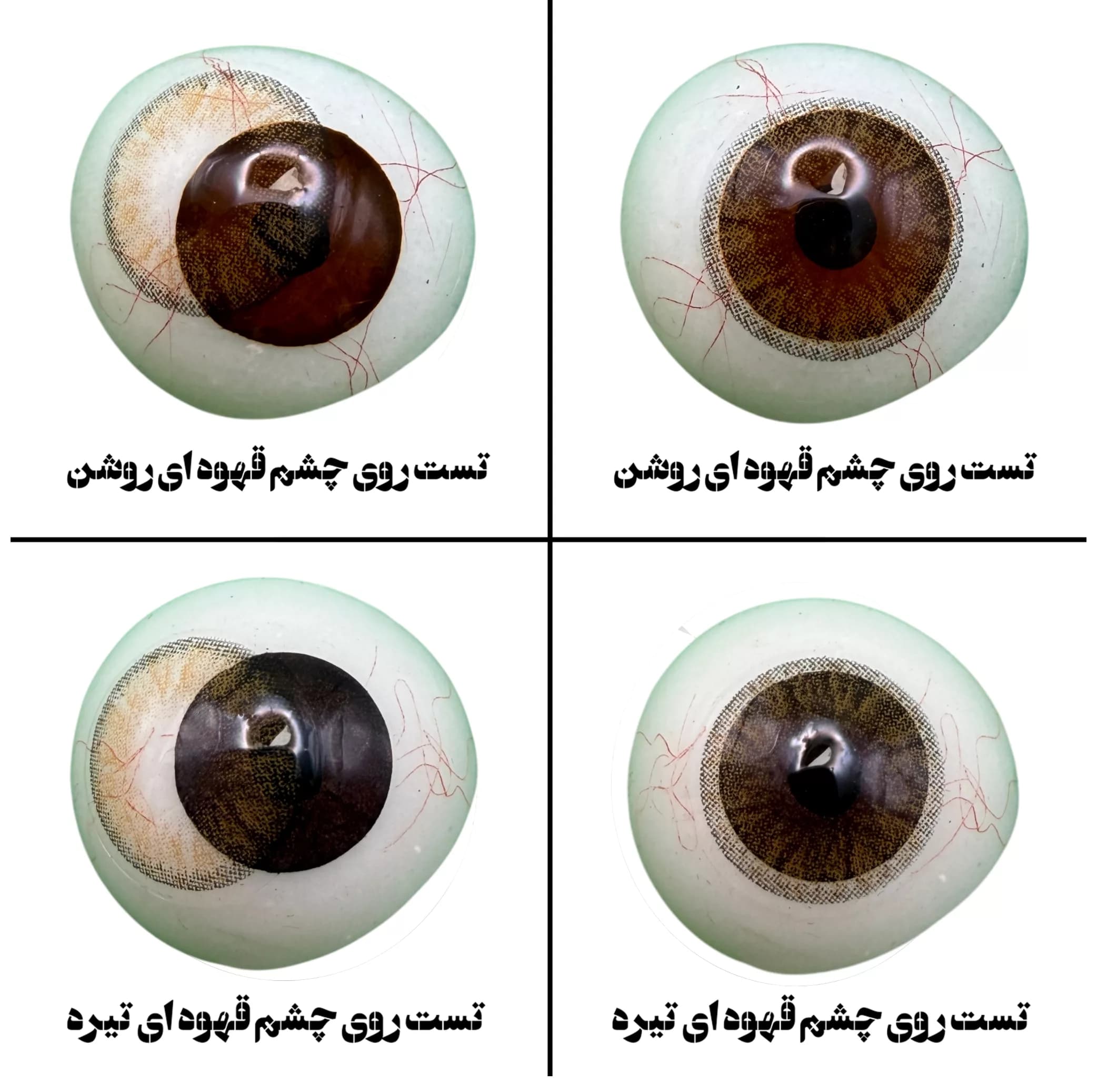 لنز چشم هرا گریس تمیم کانتکت لنز کد 15 رنگ قهوه ای طبیعی دوردار — تصویر ۴