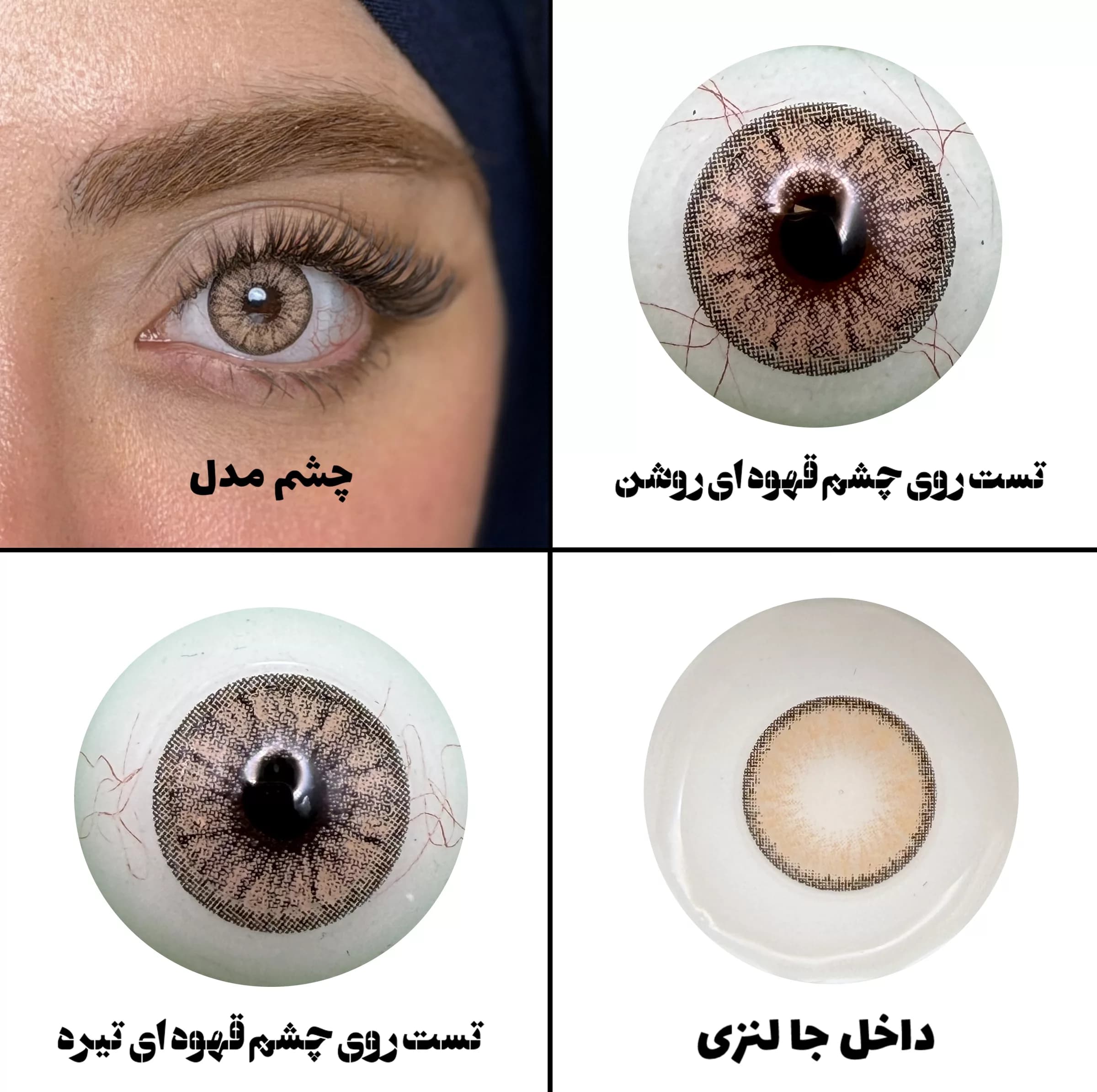 لنز چشم رویال ویژن مدل CAPPUCCINO کد 16 رنگ عسلی کاراملی دوردار — تصویر ۴