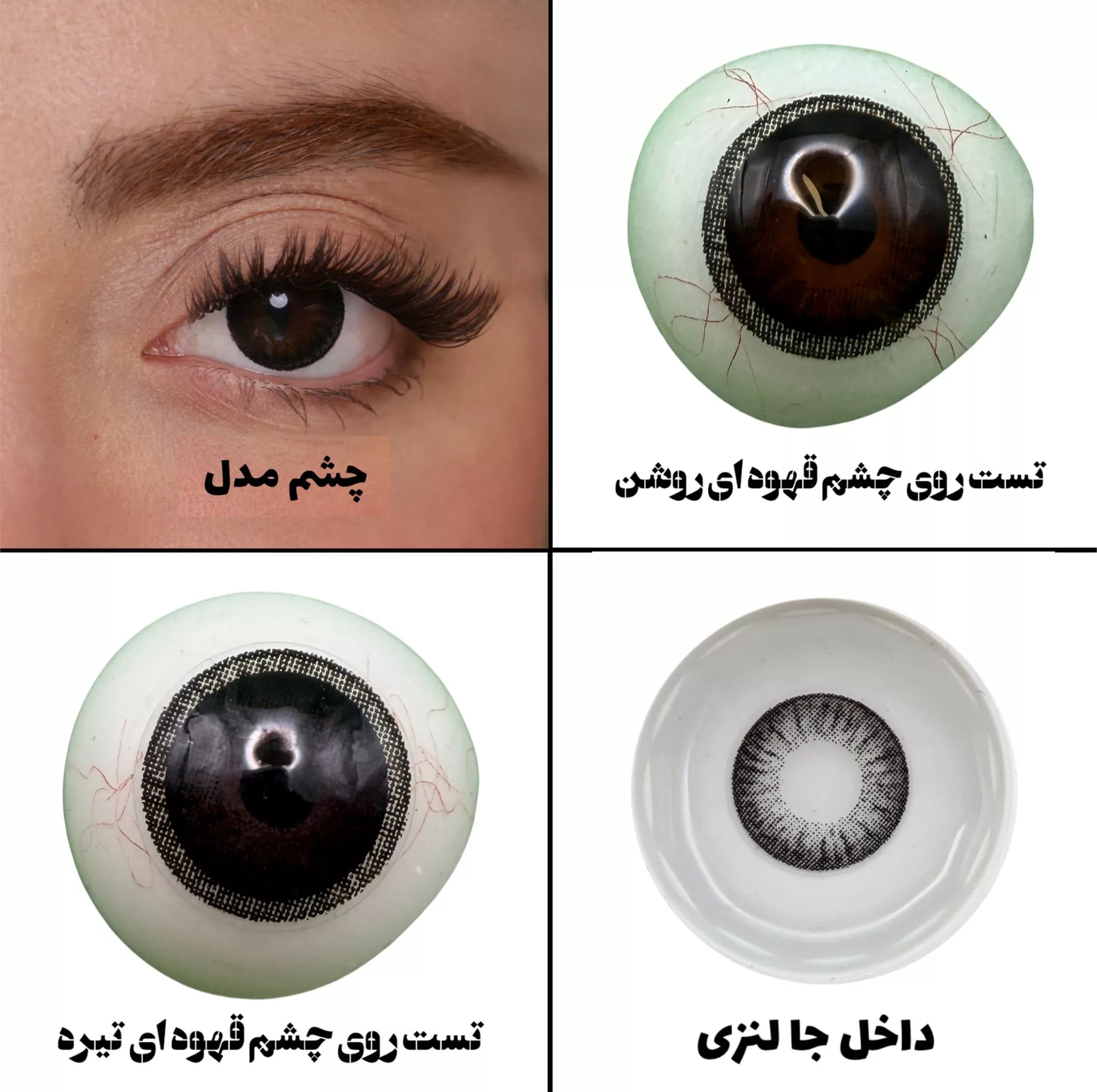 لنز چشم هرا گریس تمیم کانتکت لنز مدل URDU BLK کد 24 رنگ مشکی — تصویر ۳