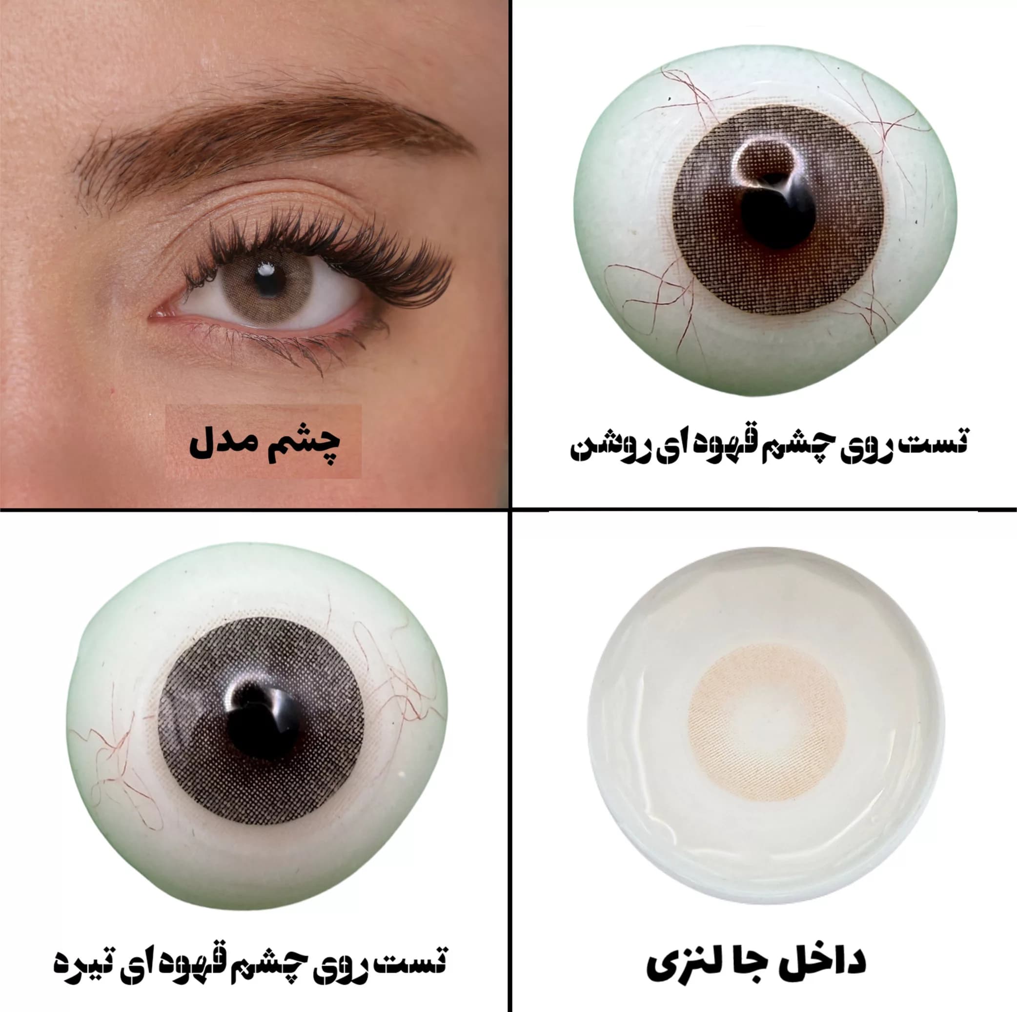 لنز چشم هرا گریس تمیم کانتکت لنز مدل LUMINO HAZEL کد 29 رنگ عسلی خاکی روشن بدون دور — تصویر ۴
