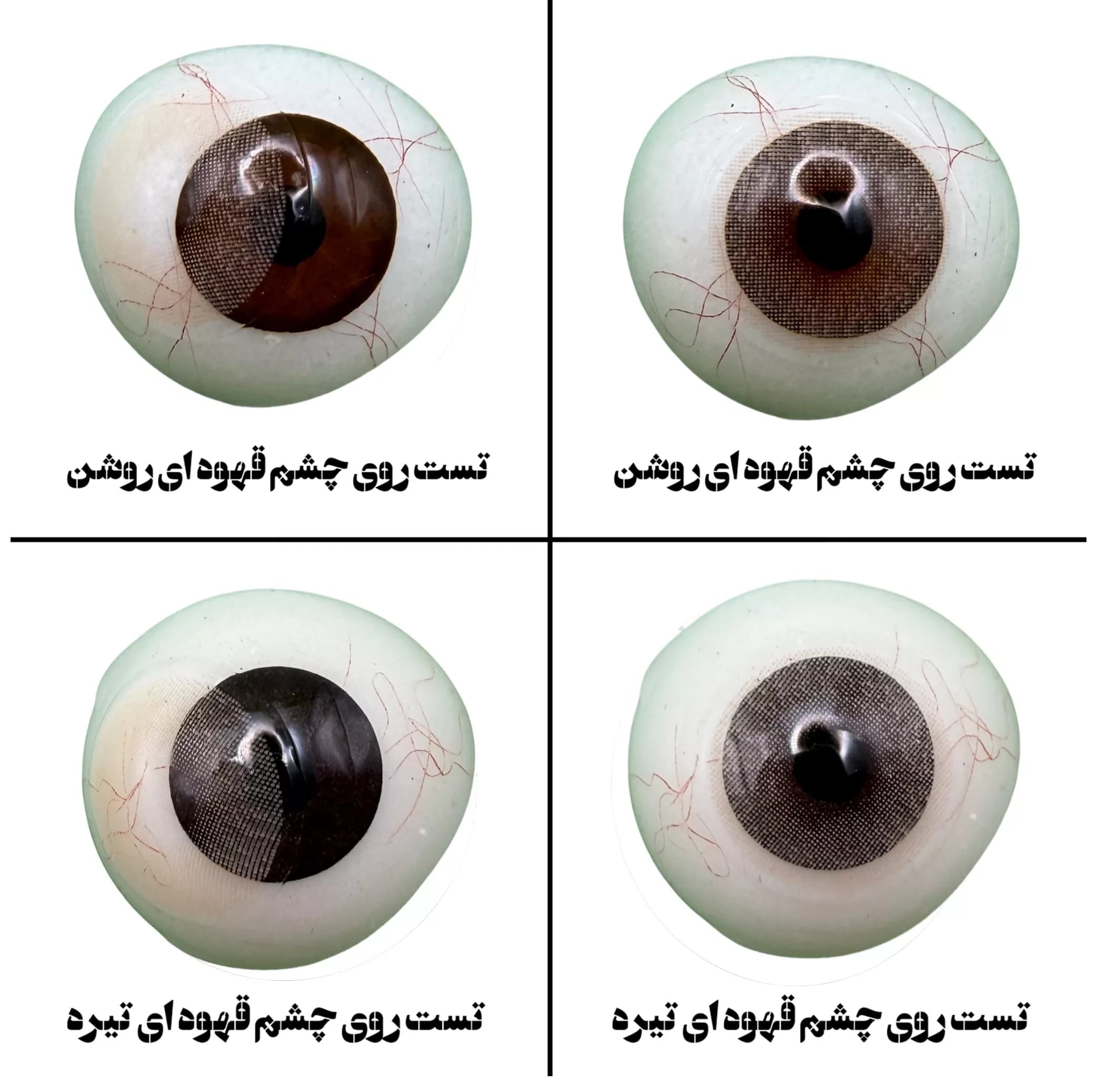 لنز چشم هرا گریس تمیم کانتکت لنز مدل LUMINO HAZEL کد 29 رنگ عسلی خاکی روشن بدون دور — تصویر ۵