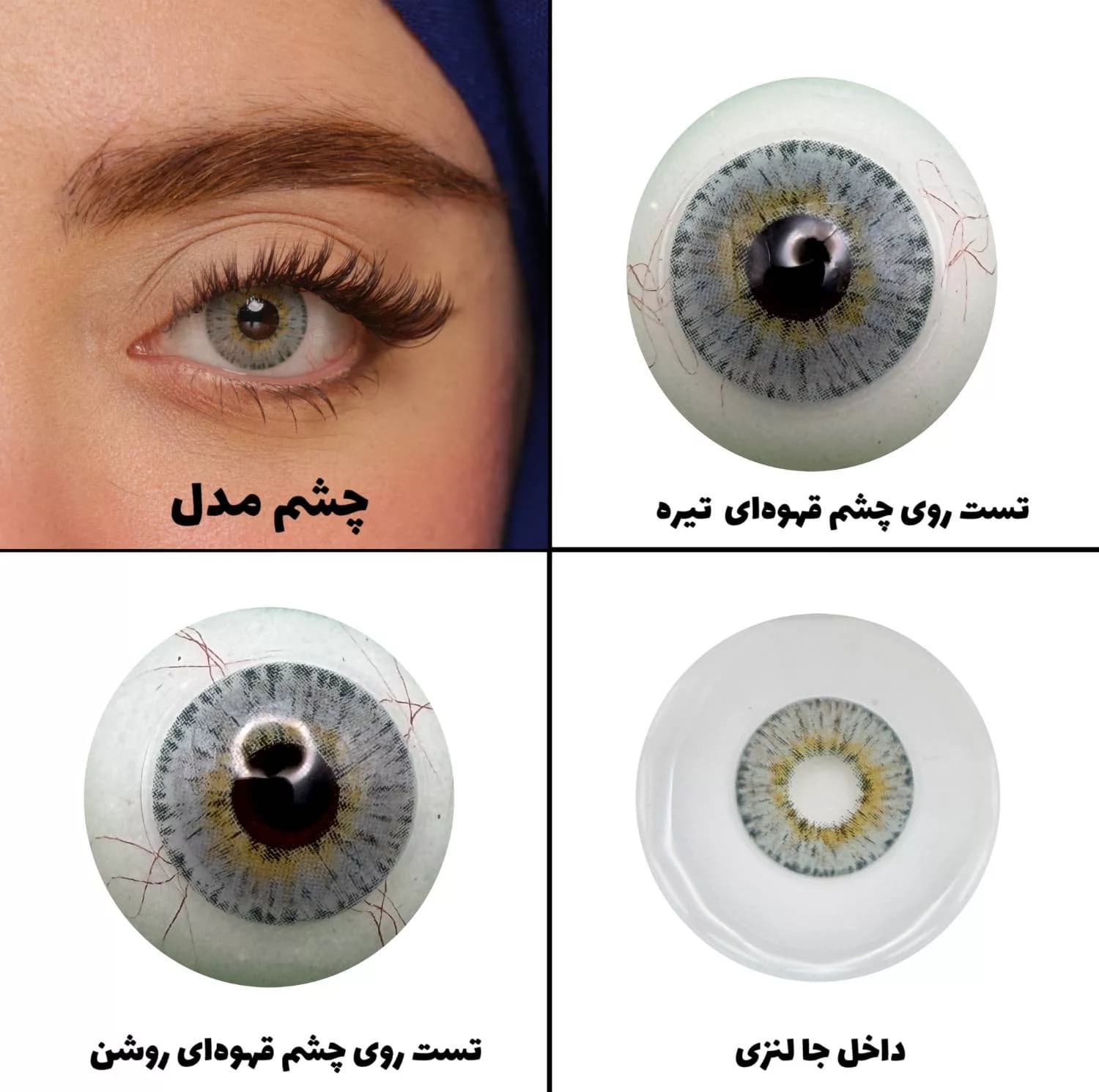 لنز چشم رویال ویژن مدل LUXURY GRAY کد 32 رنگ طوسی آبی مرکز عسلی دور دار — تصویر ۲
