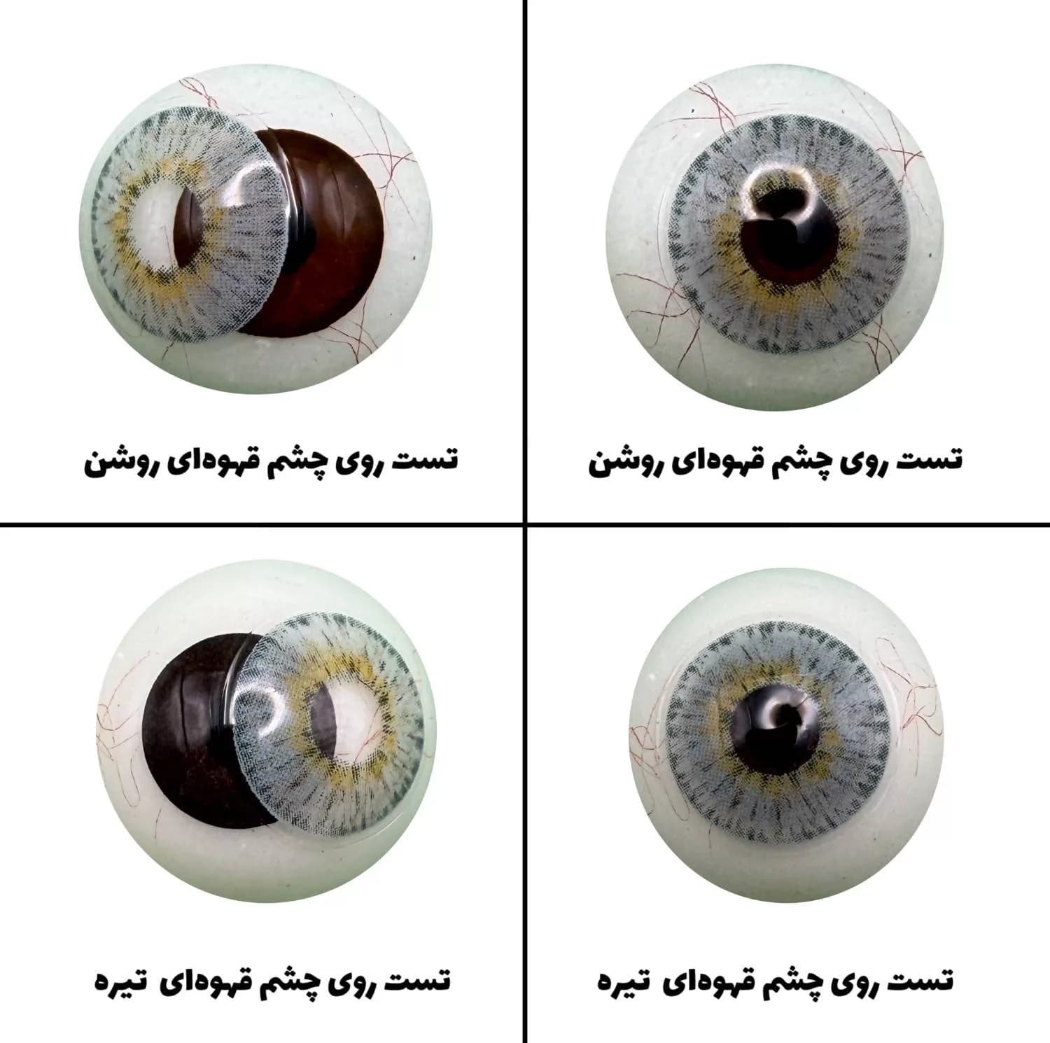 لنز چشم رویال ویژن مدل LUXURY GRAY کد 32 رنگ طوسی آبی مرکز عسلی دور دار — تصویر ۵