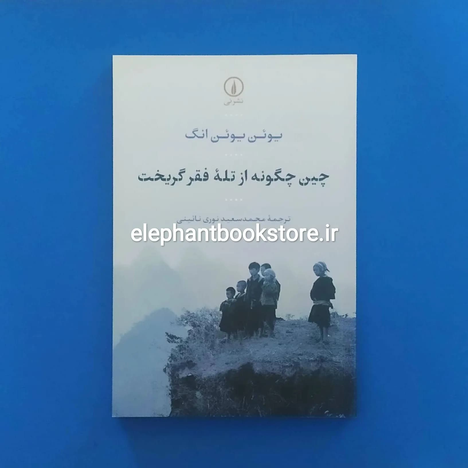کتاب چین چگونه از تله فقر گریخت اثر یوئن یوئن انگ