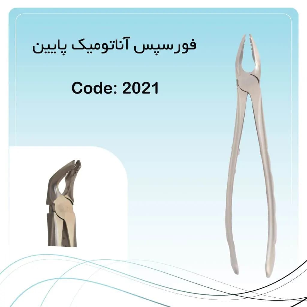 فورسپس آناتومیک پرمولر پایین راکمد