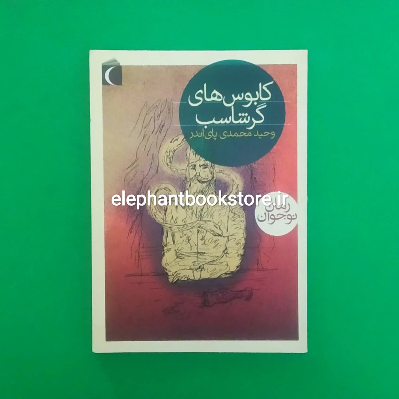 کتاب کابوس های گرشاسب اثر وحید محمدی پای اندر