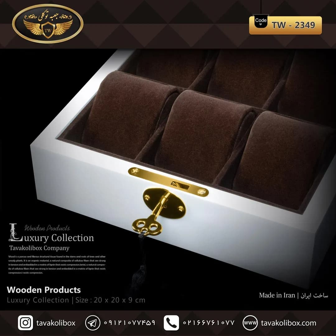 جعبه ساعت 6 خونه درب دار بالشتک لوکس کلیددار رنگ سفید-قهوه ای مدل : TW-2349 — تصویر ۳