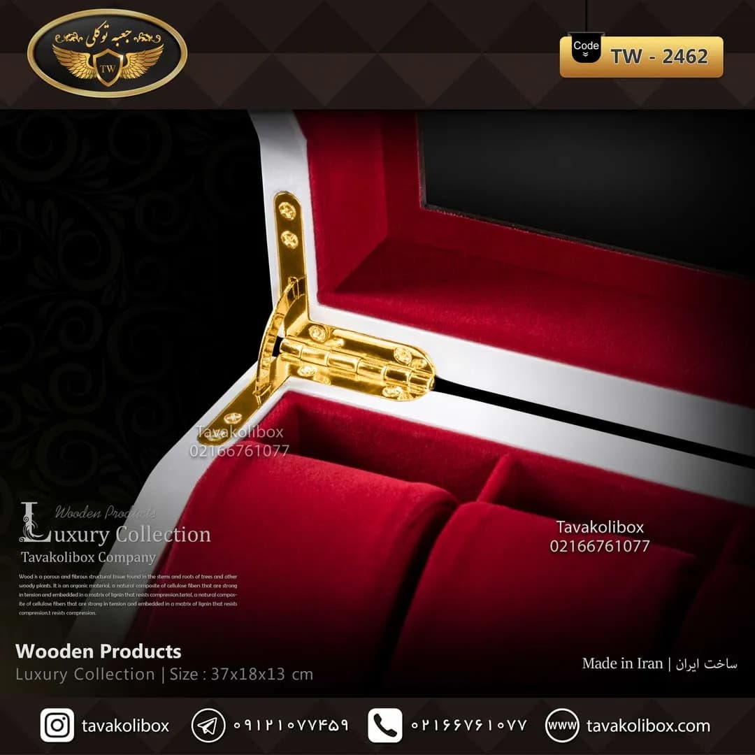 جعبه ساعت 6 خونه بالشتک لوکس 2 خونه عینک طرح وایندر رنگ سفید مدل : TW-2462 — تصویر ۵