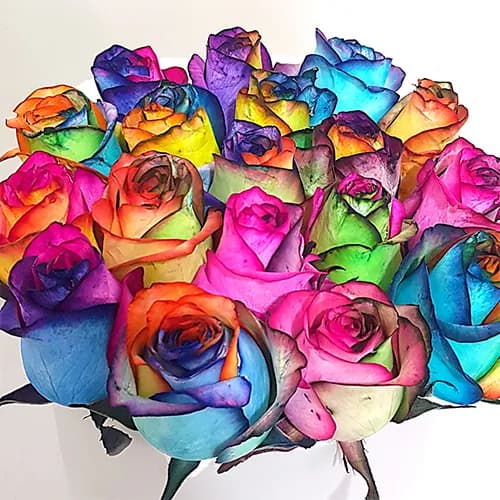 نهال گل هفت رنگ